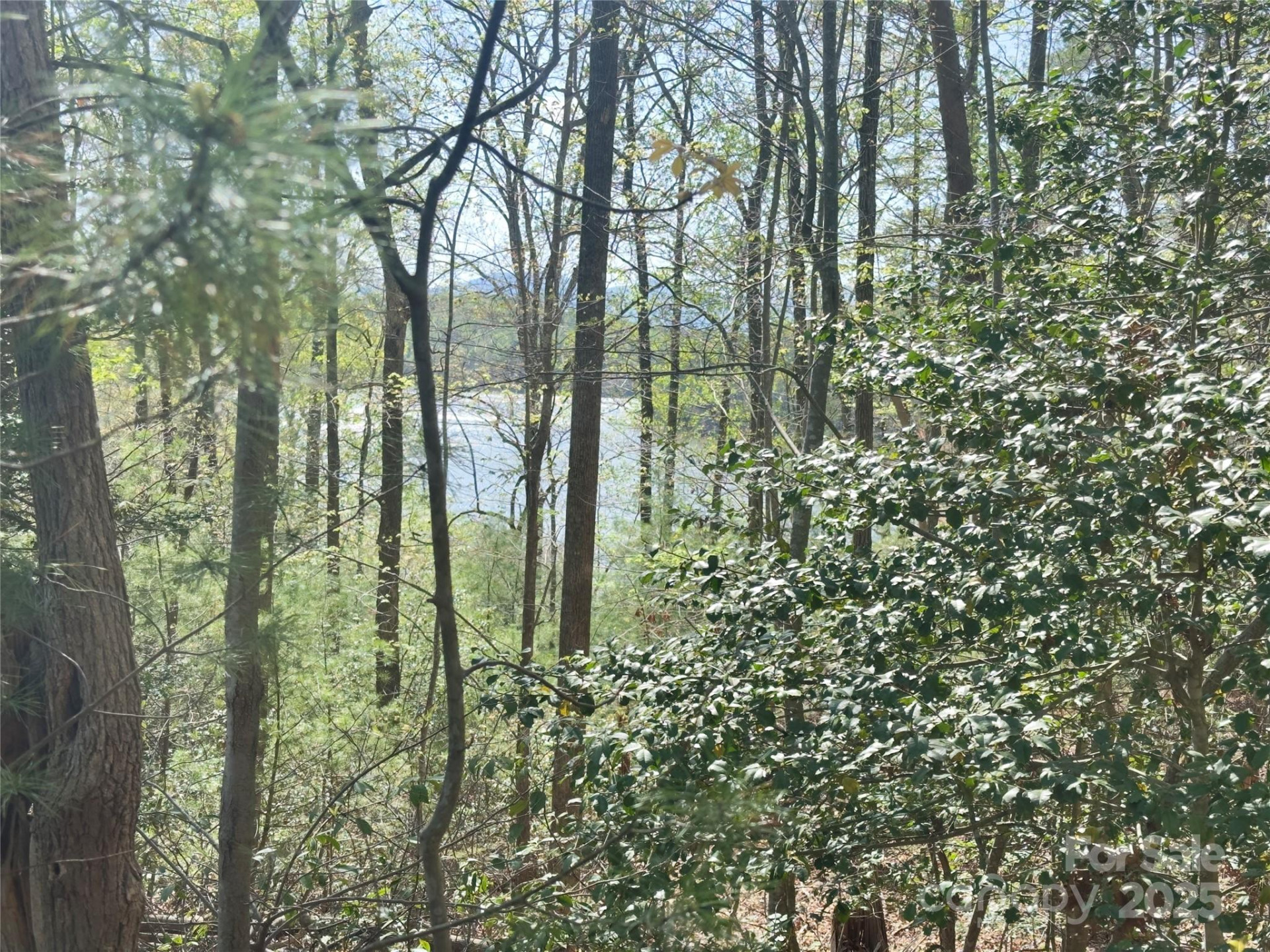 0 Memory Lane - Photo 11