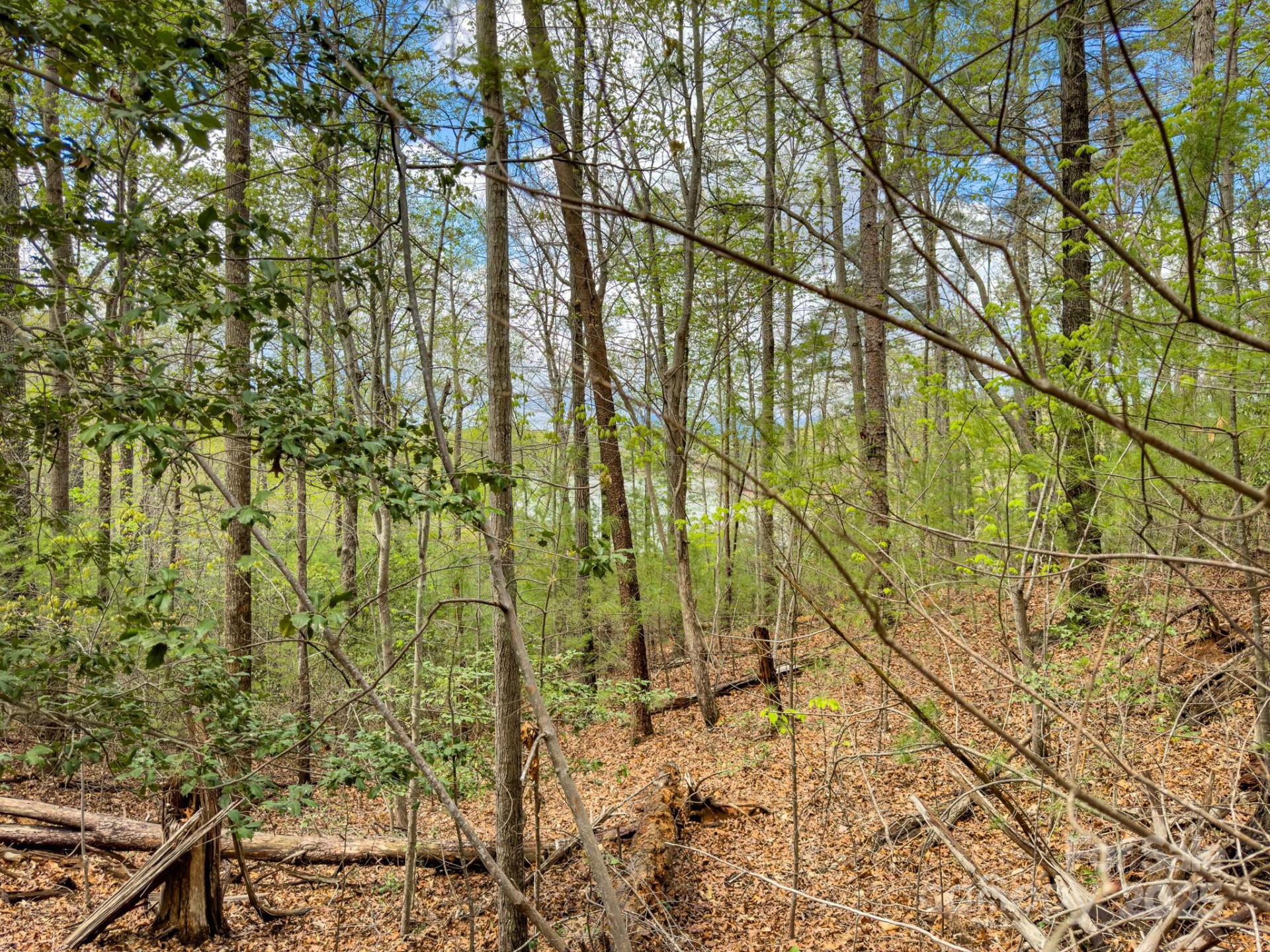 0 Memory Lane - Photo 12