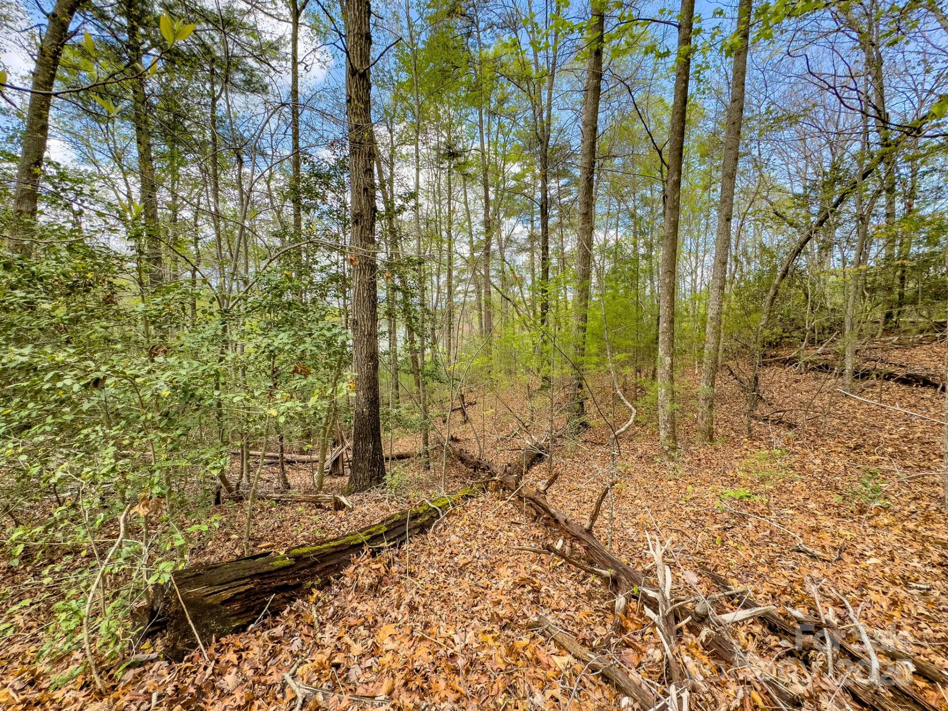 0 Memory Lane - Photo 13