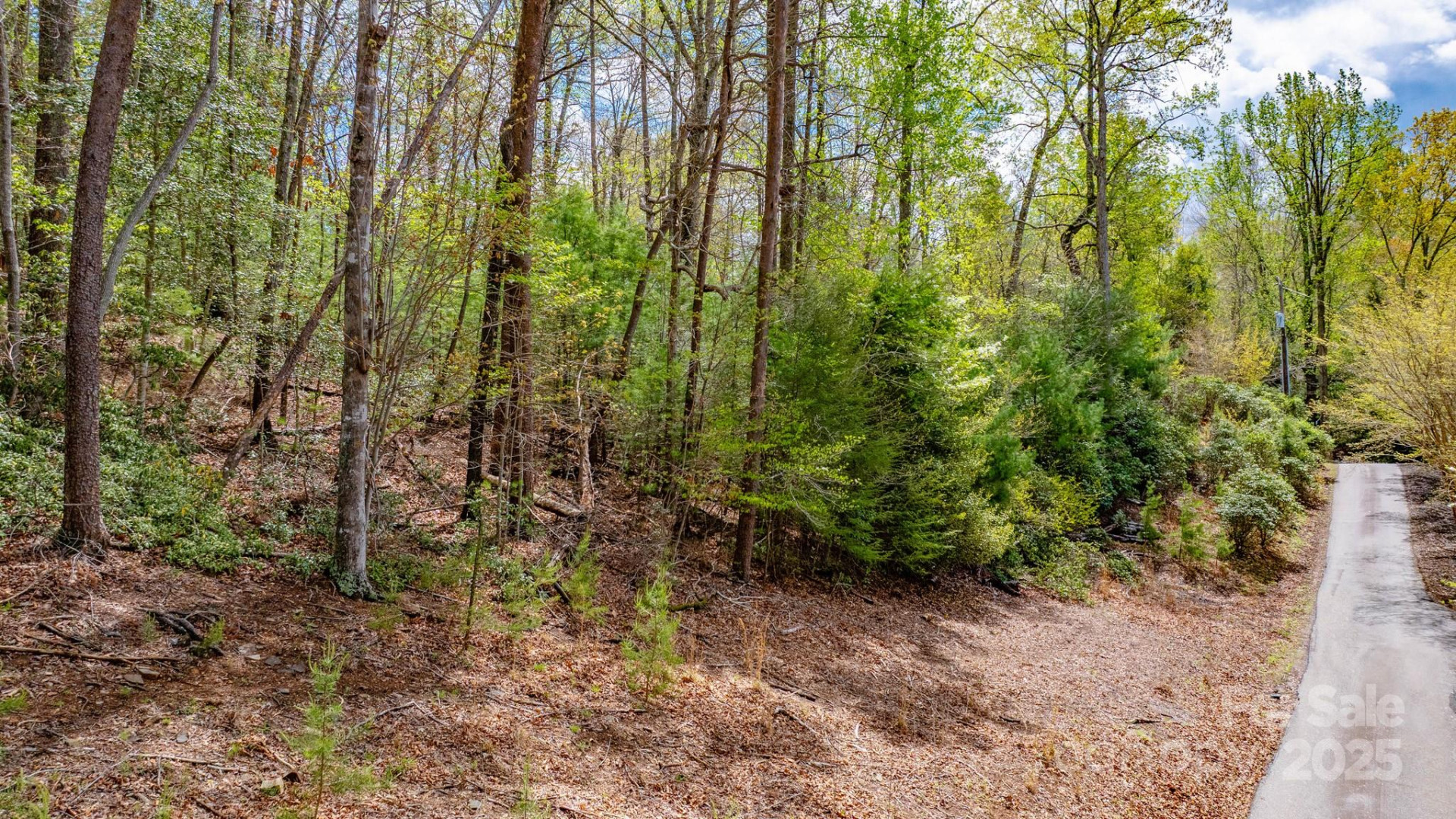 0 Memory Lane - Photo 7