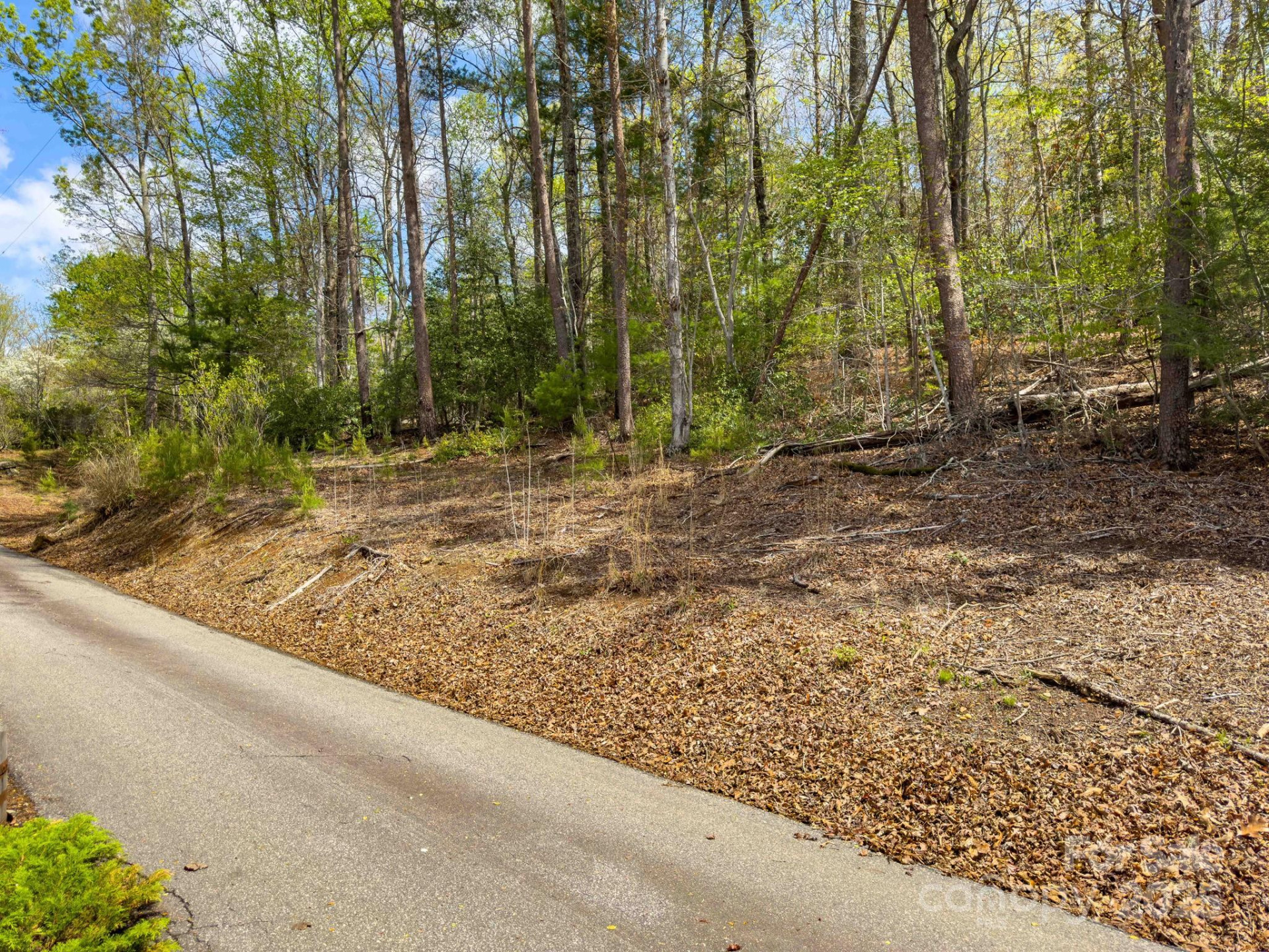 0 Memory Lane - Photo 9