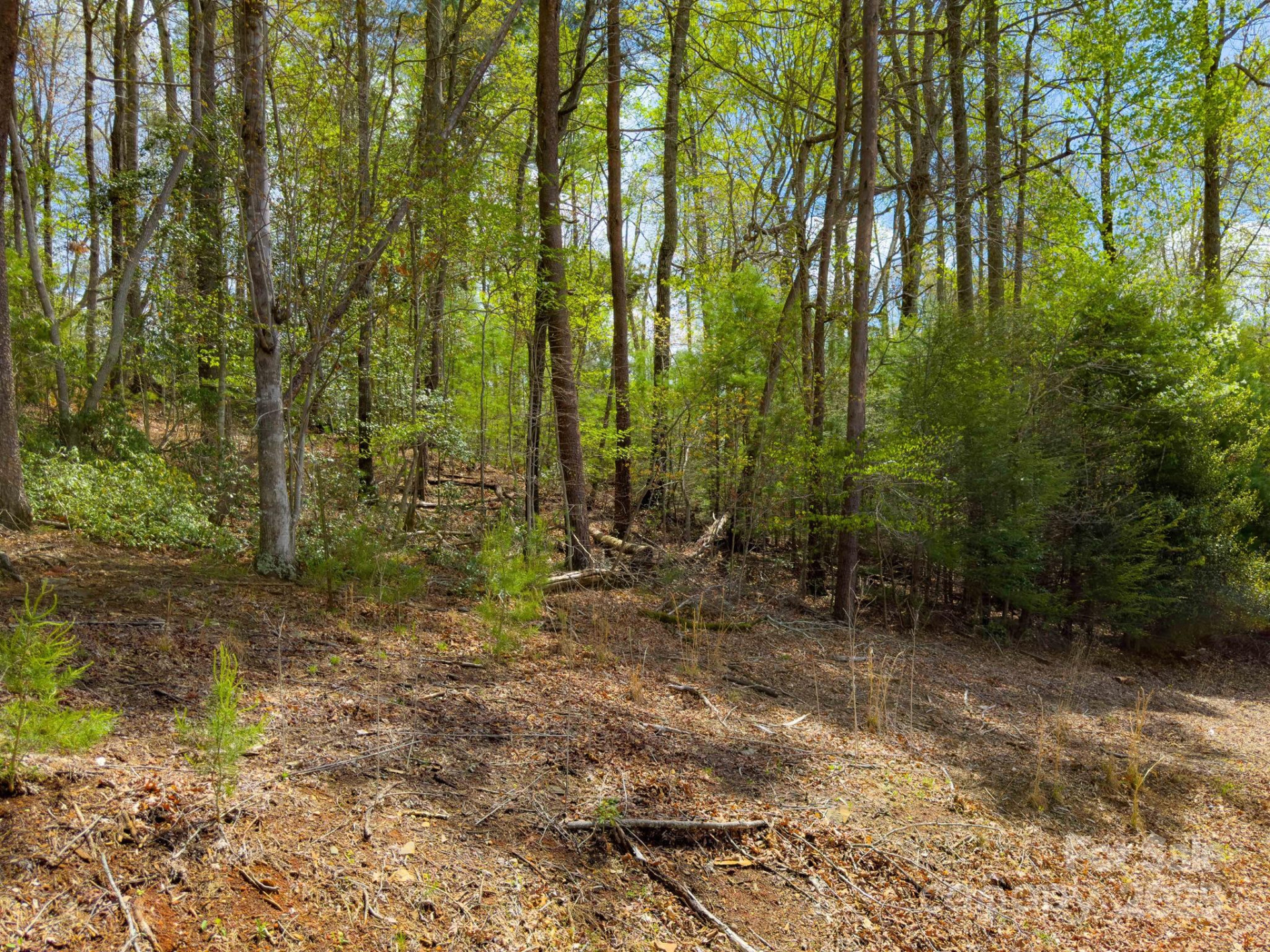 0 Memory Lane - Photo 10