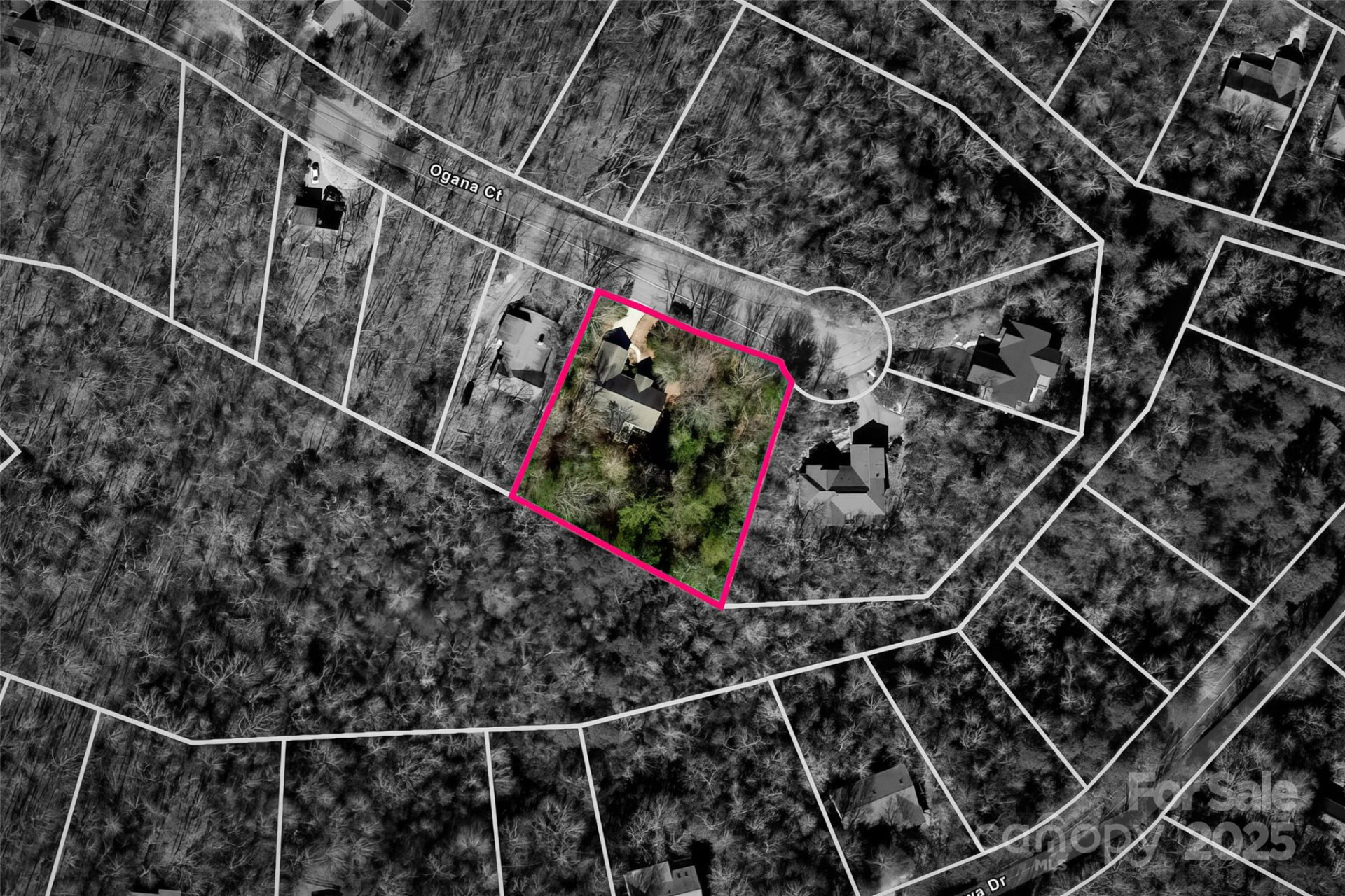 226 Ogana Court - Photo 38