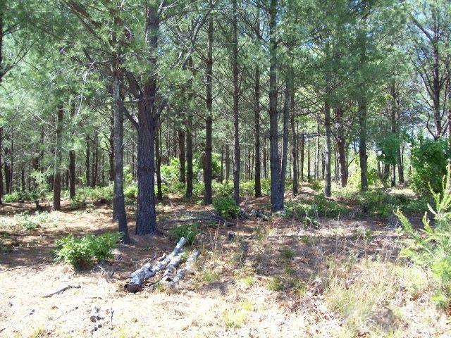 1552 Bear Cliff Drive #32 - Photo 2