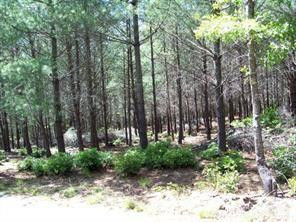 1552 Bear Cliff Drive #31 - Photo 2