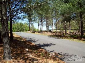 1552 Bear Cliff Drive #31 - Photo 3