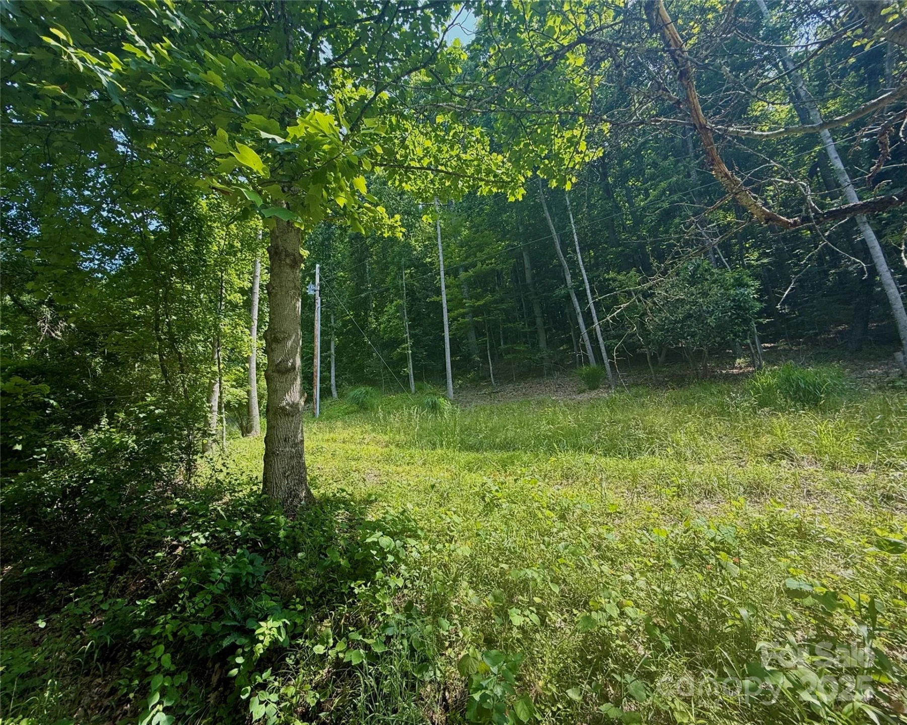 700 Wooded Mountain Trail