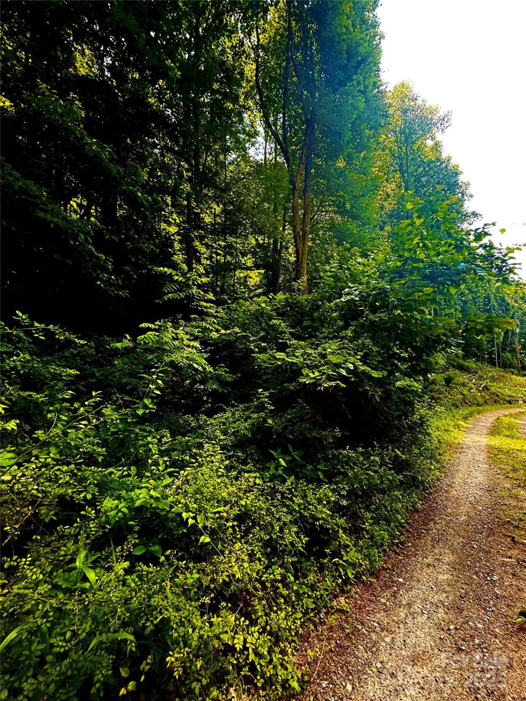 700 Wooded Mountain Trail - Photo 12