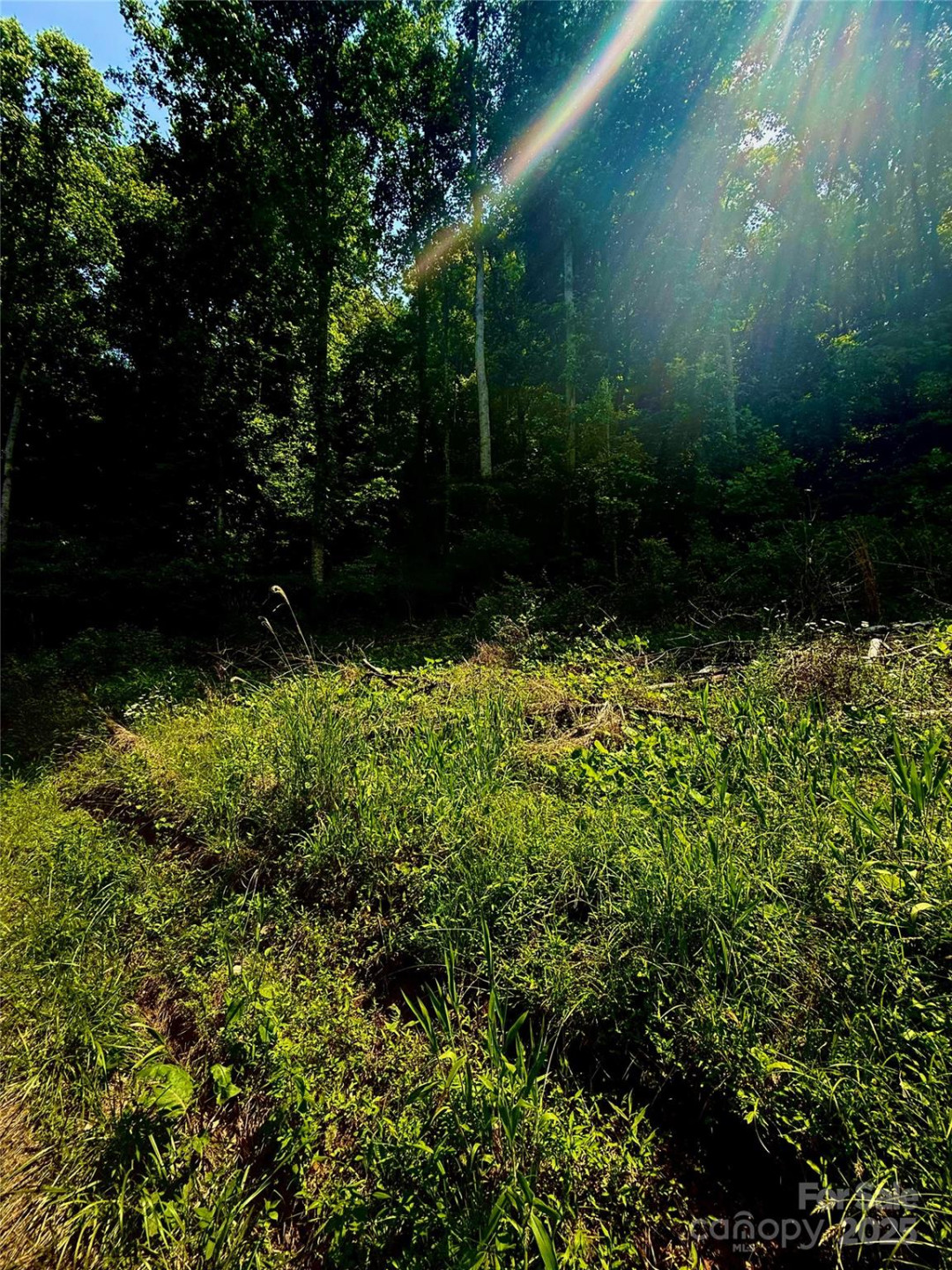 700 Wooded Mountain Trail - Photo 13