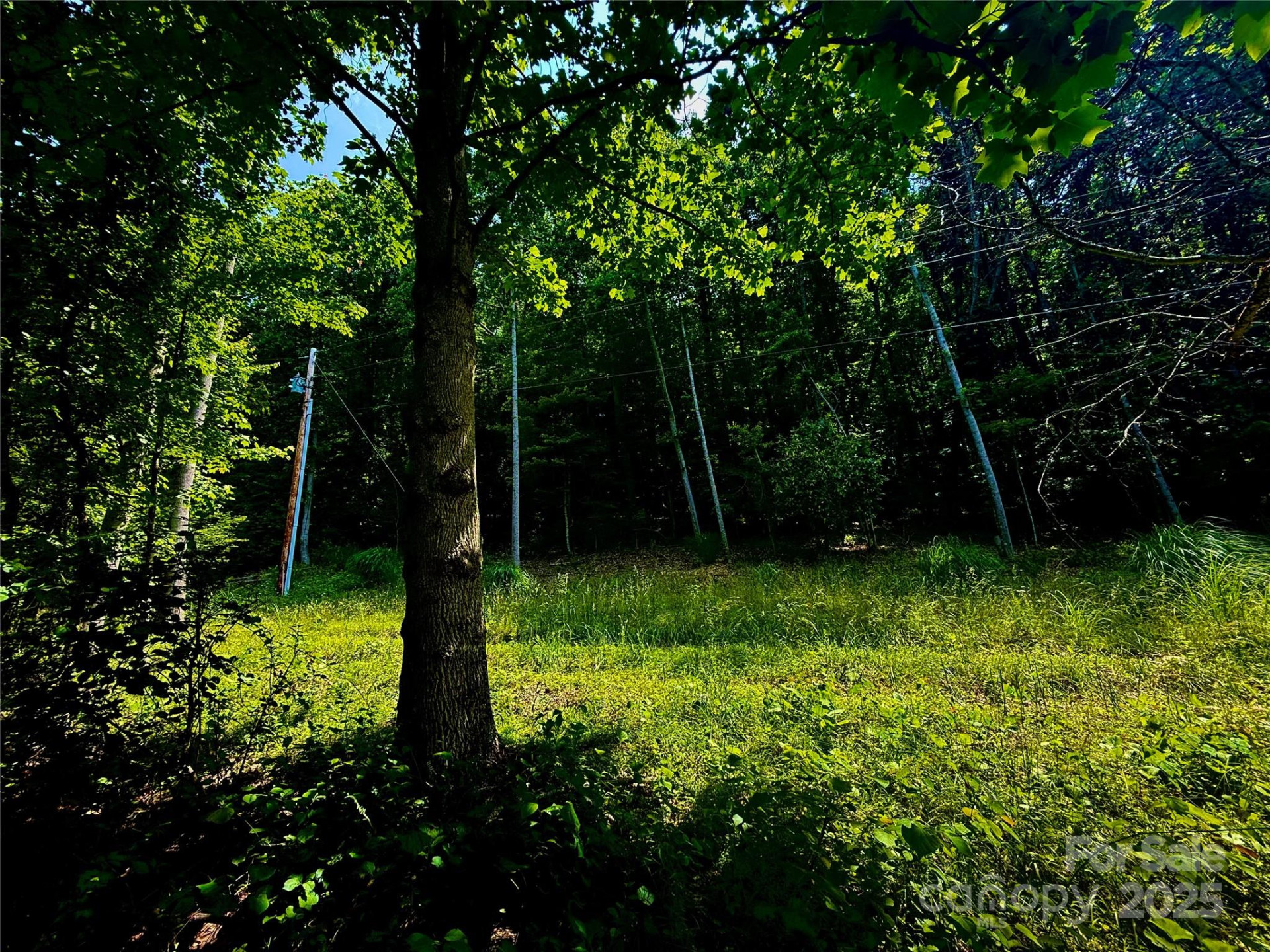 700 Wooded Mountain Trail - Photo 3