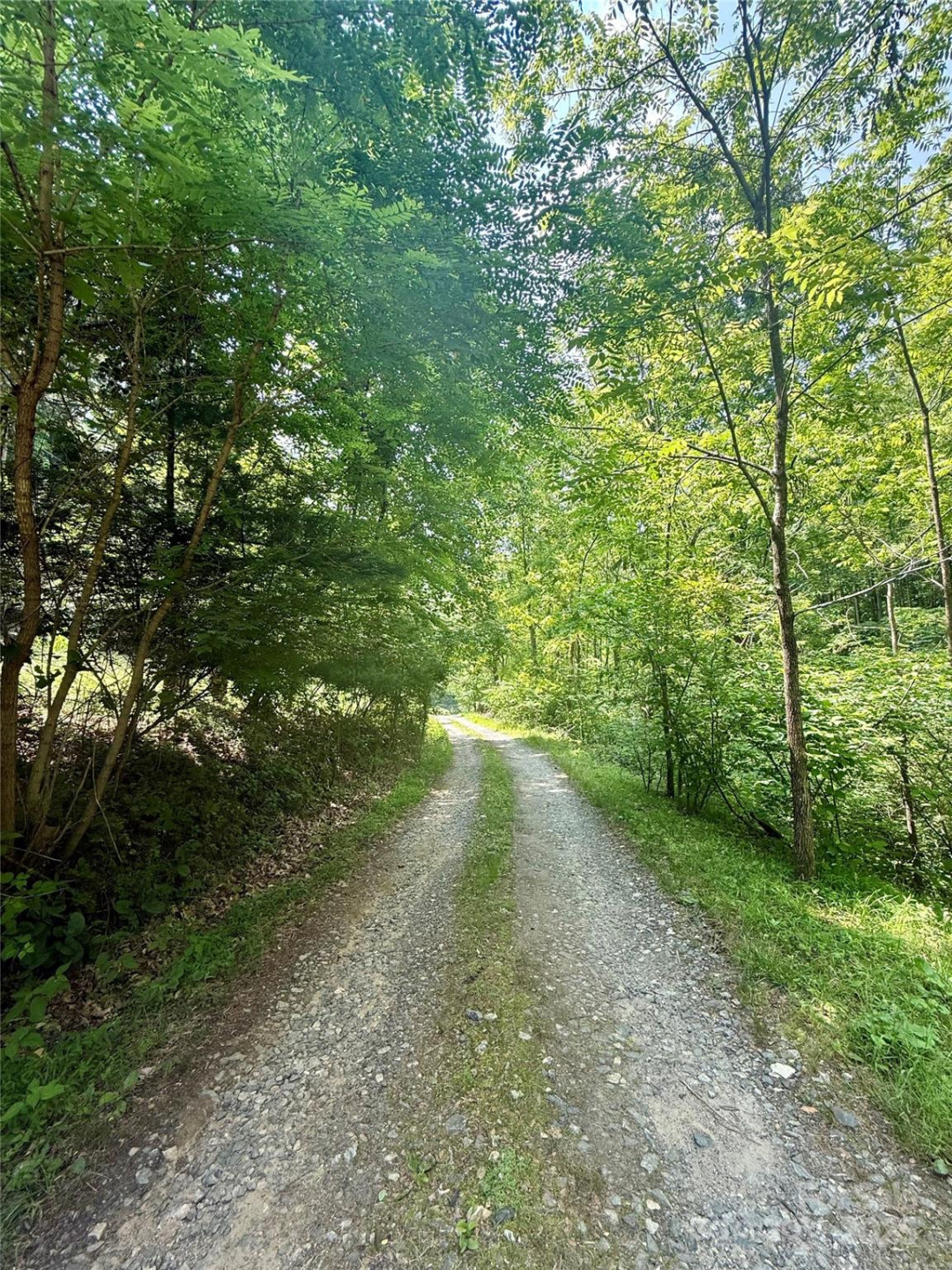 700 Wooded Mountain Trail - Photo 5