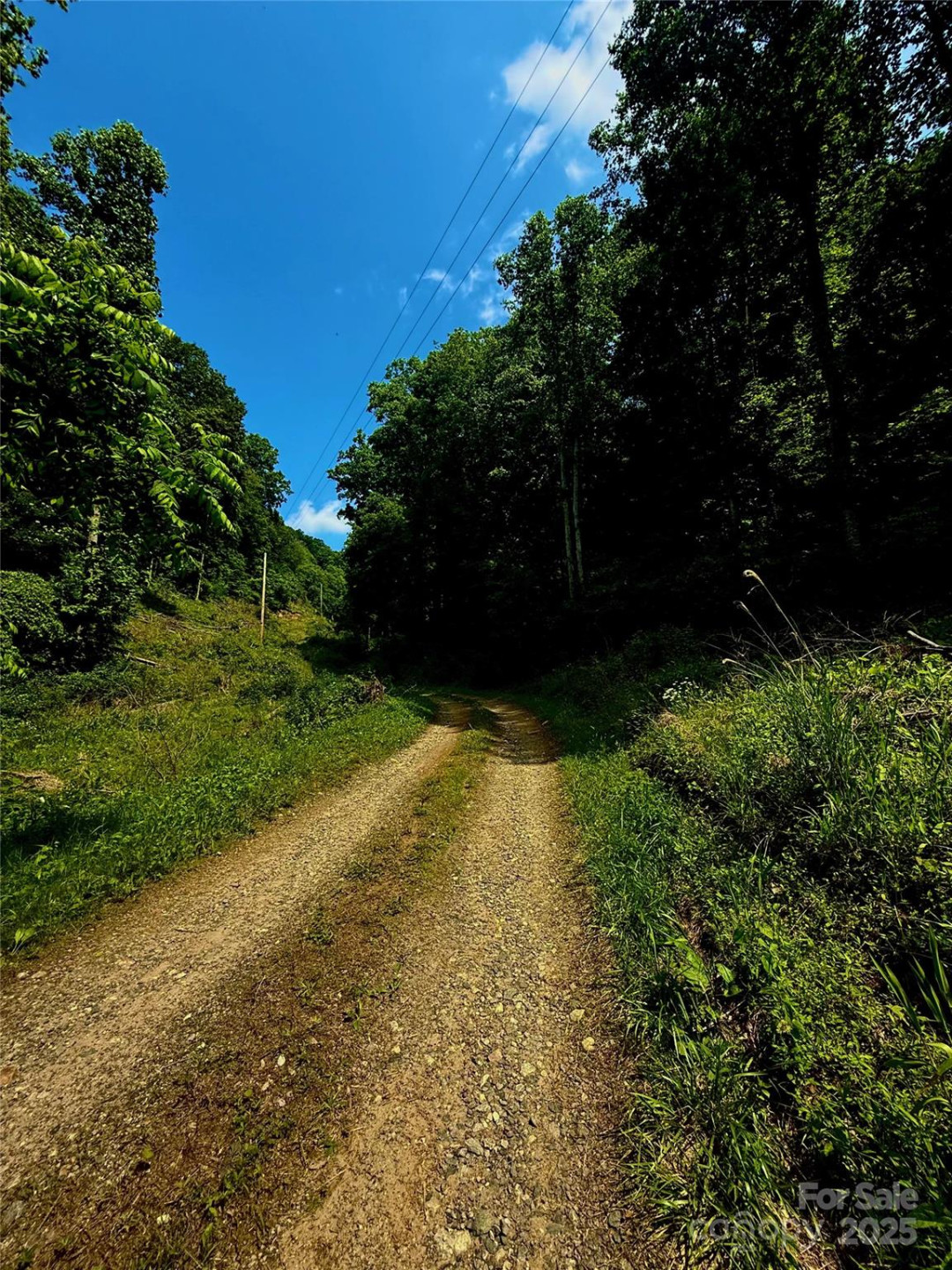 700 Wooded Mountain Trail - Photo 7