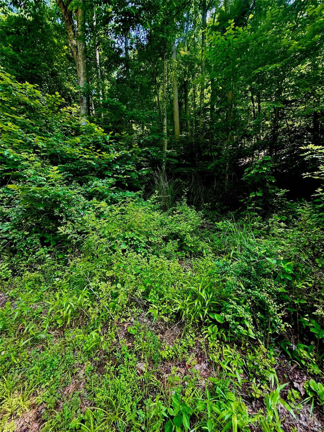 700 Wooded Mountain Trail - Photo 10