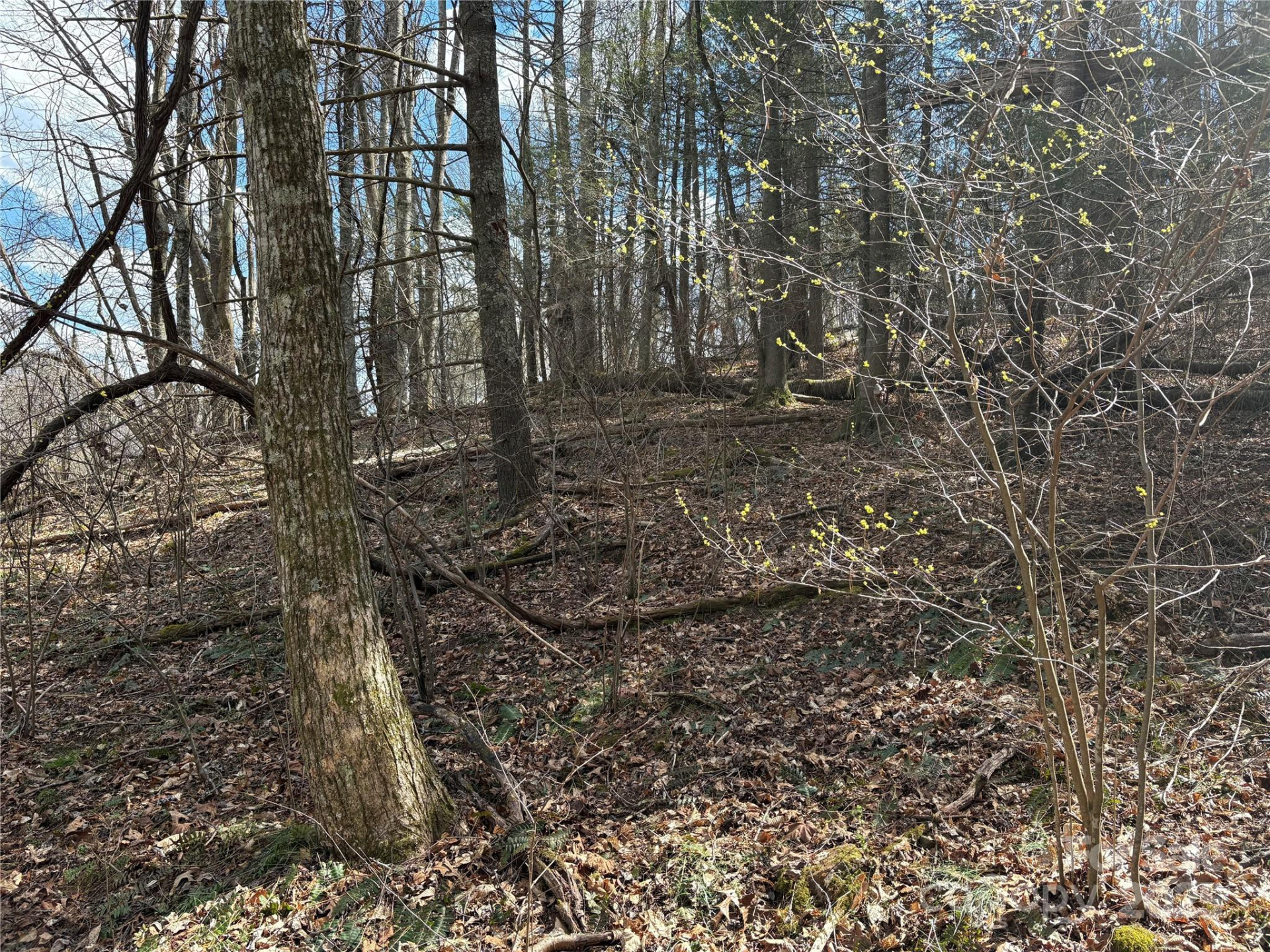 8951 US 25/70 Highway - Photo 11