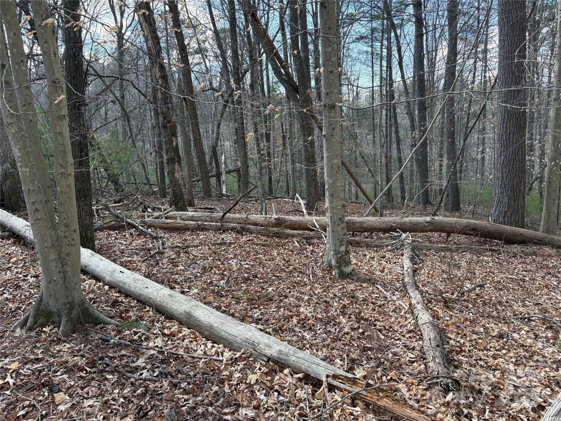 8951 US 25/70 Highway - Photo 12