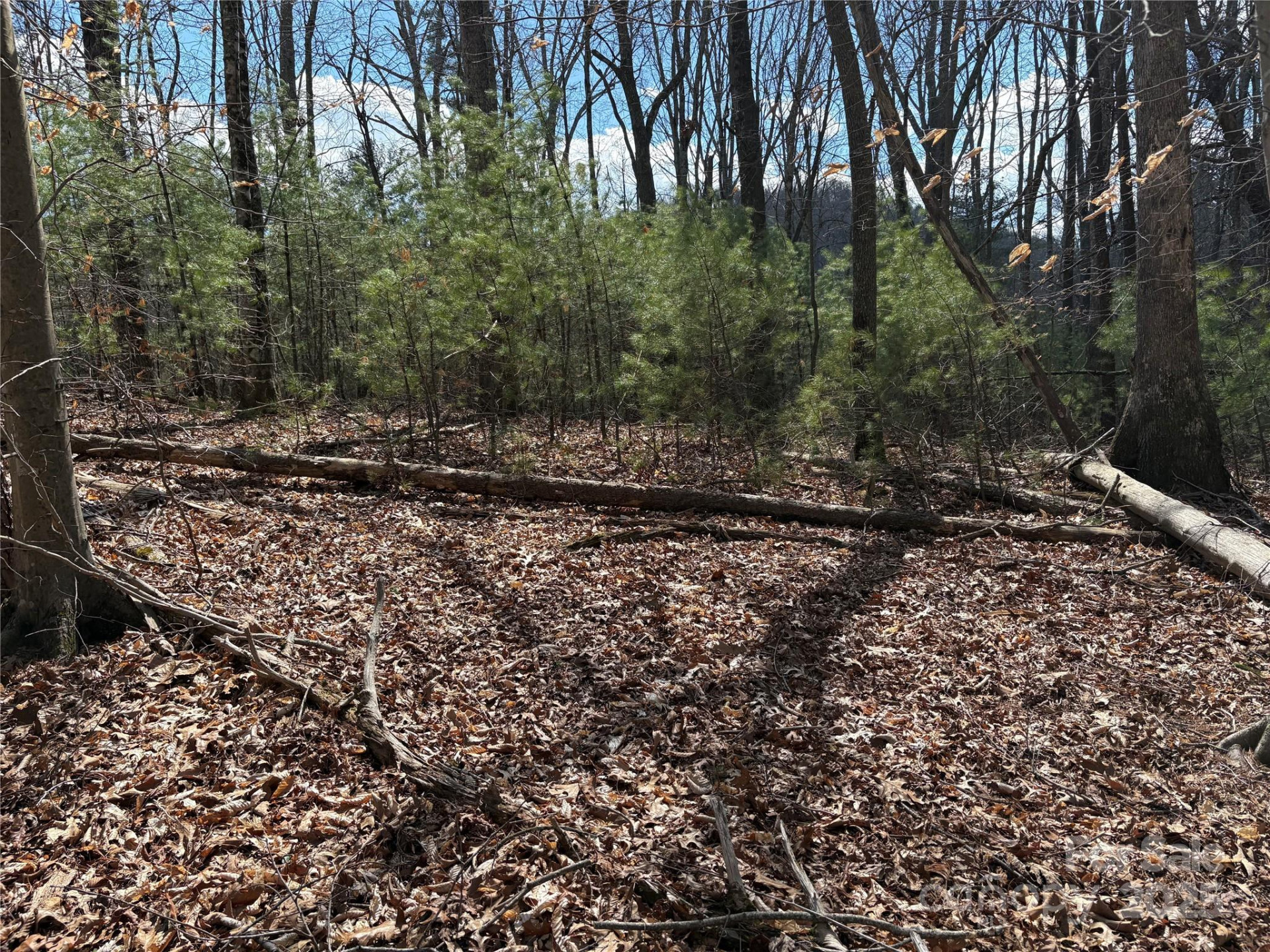 8951 US 25/70 Highway - Photo 13