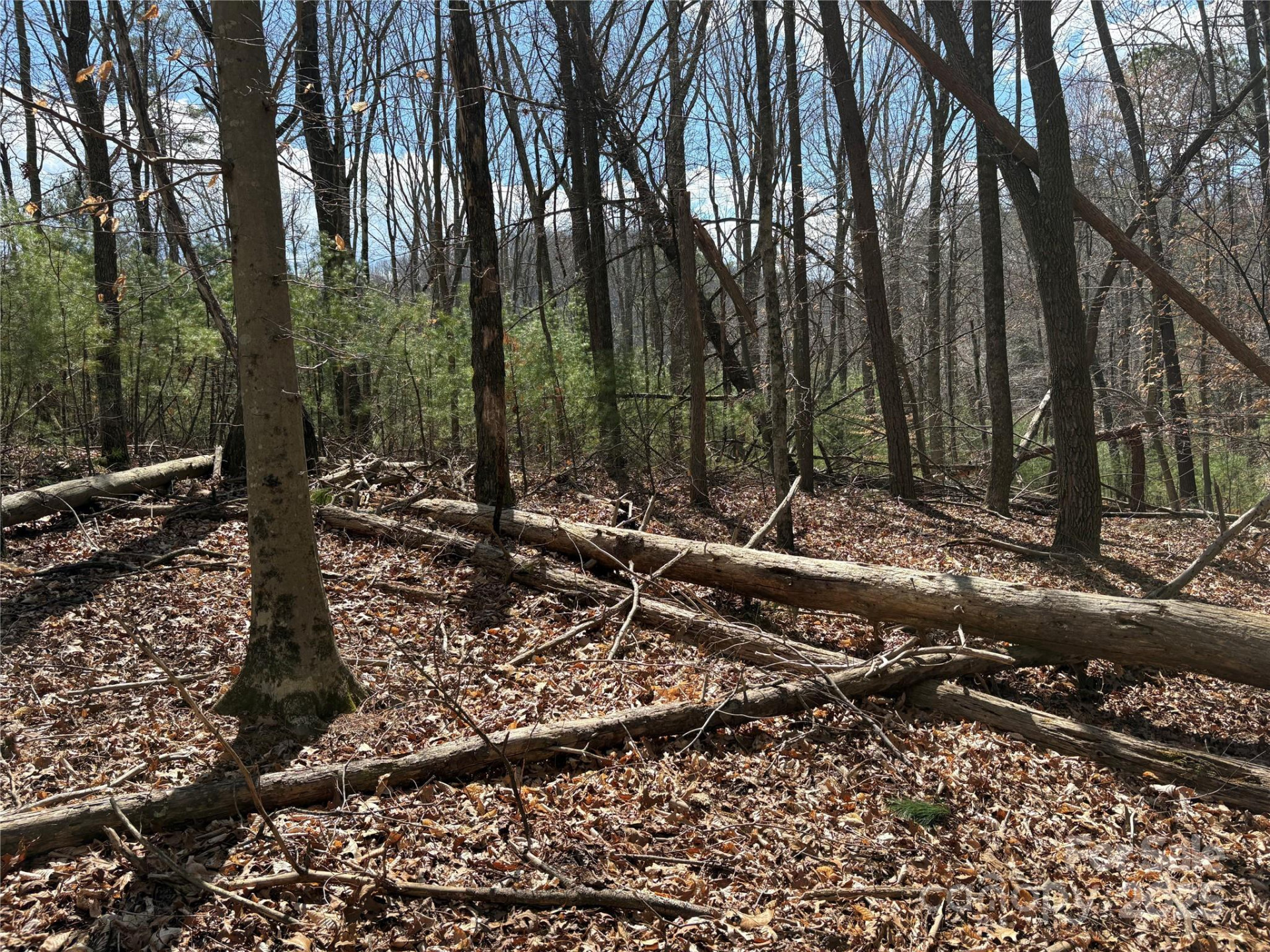 8951 US 25/70 Highway - Photo 14