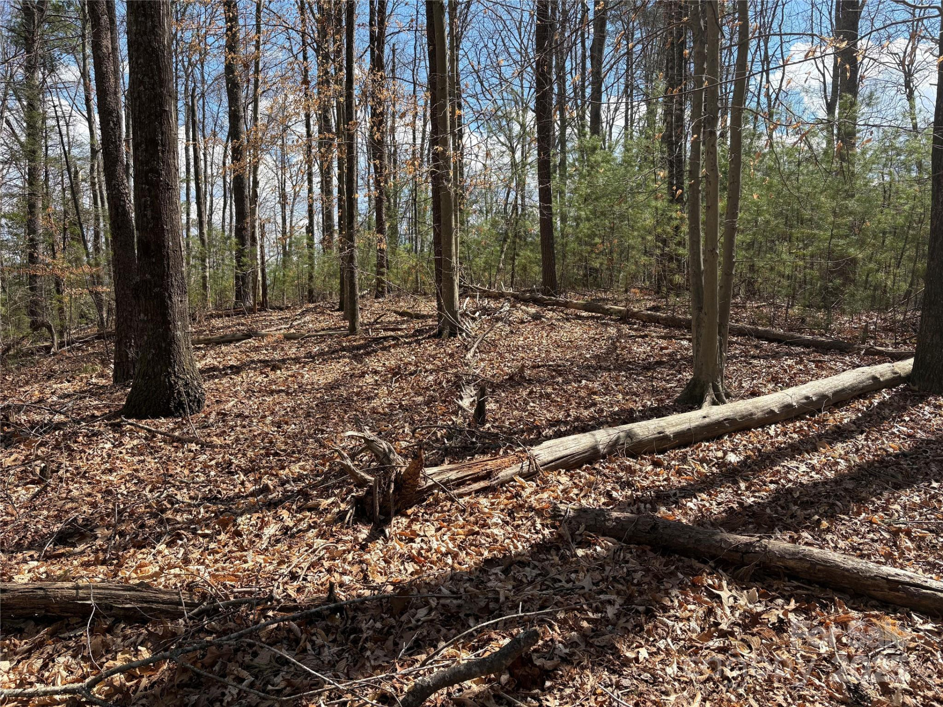 8951 US 25/70 Highway - Photo 15