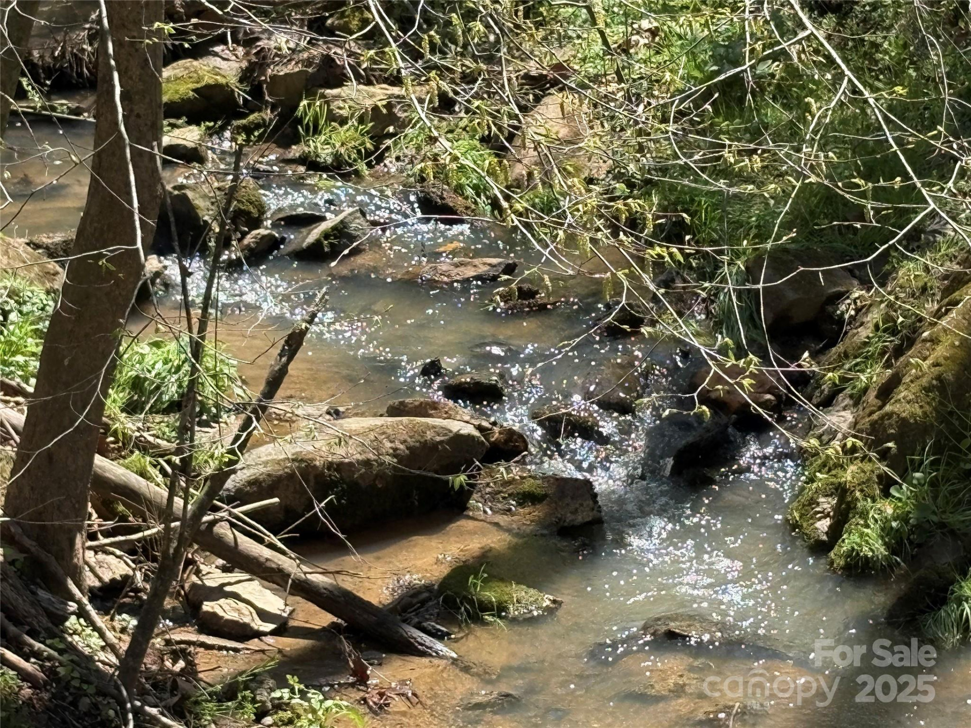 8951 US 25/70 Highway - Photo 4