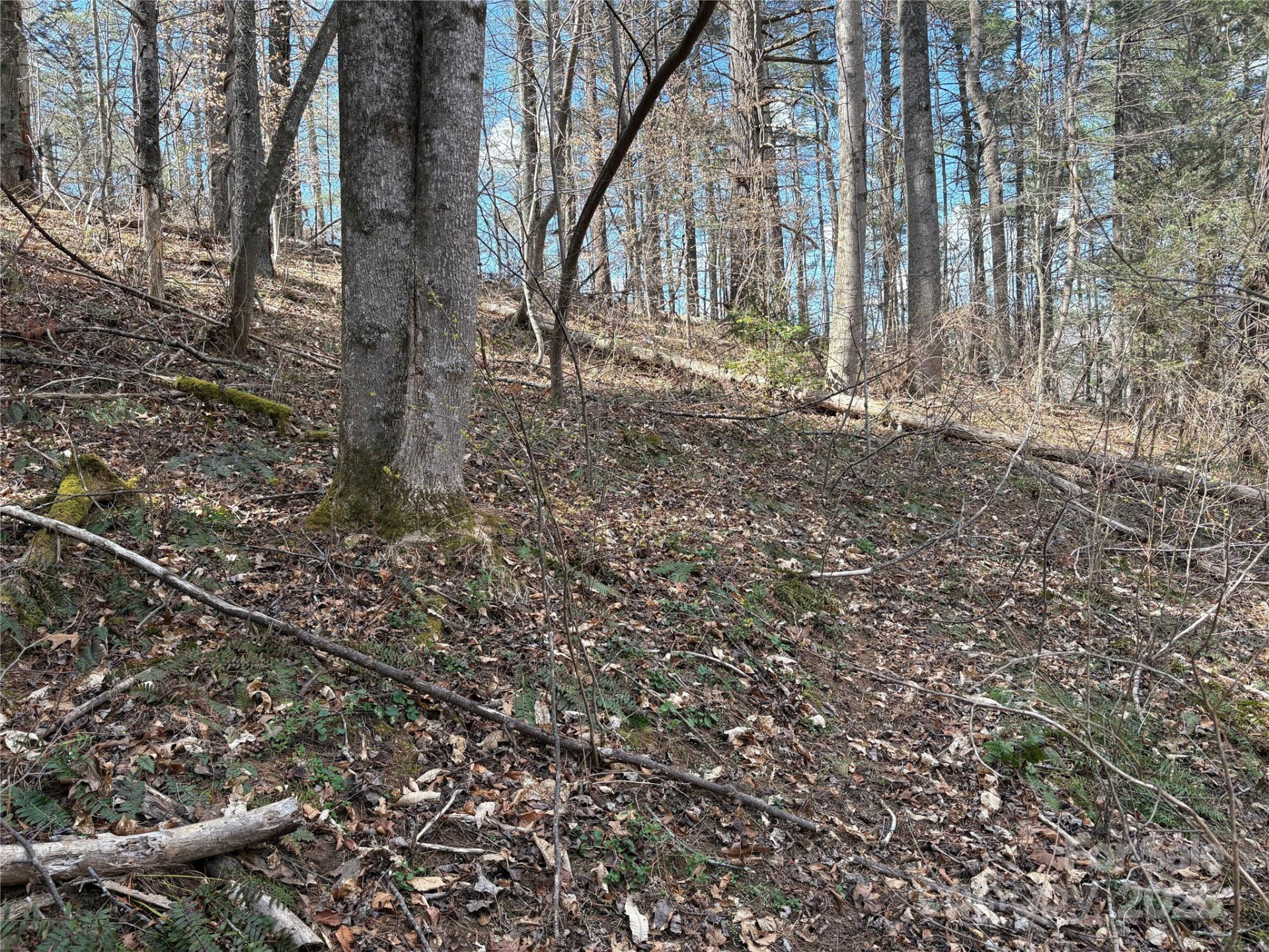 8951 US 25/70 Highway - Photo 9