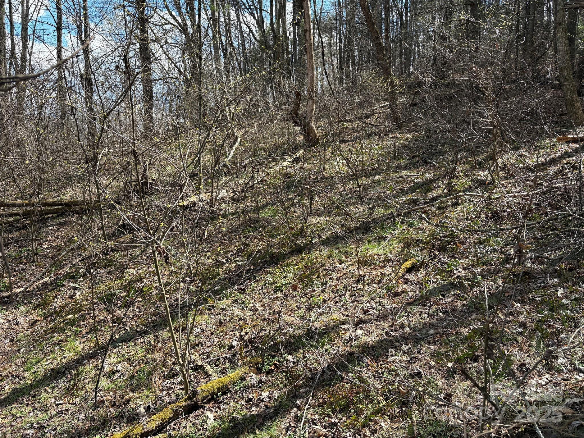 8951 US 25/70 Highway - Photo 10