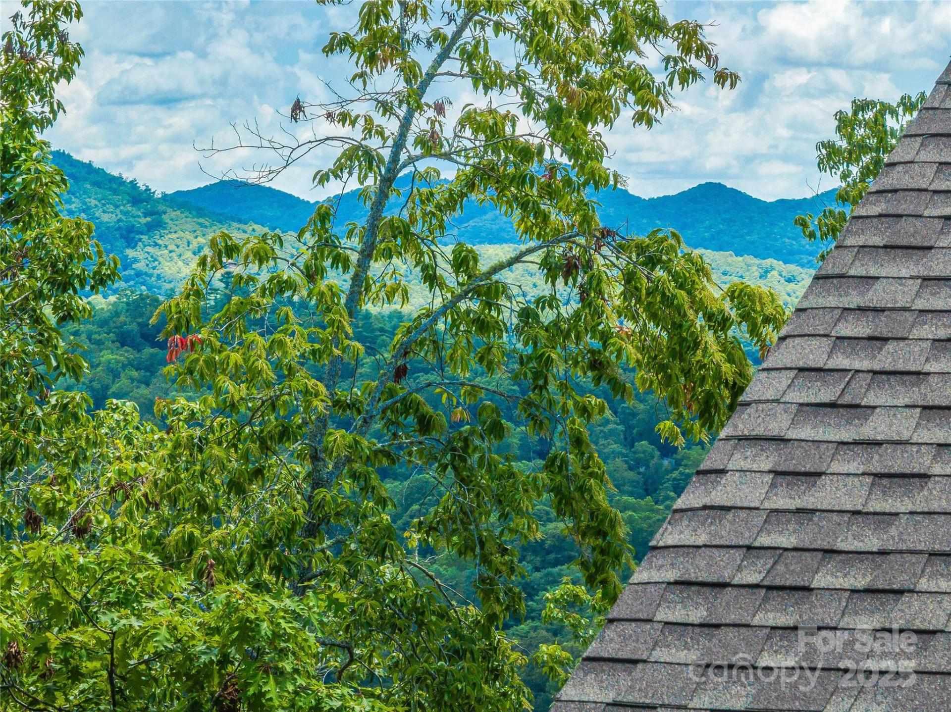 228 Allen Mountain Drive - Photo 41