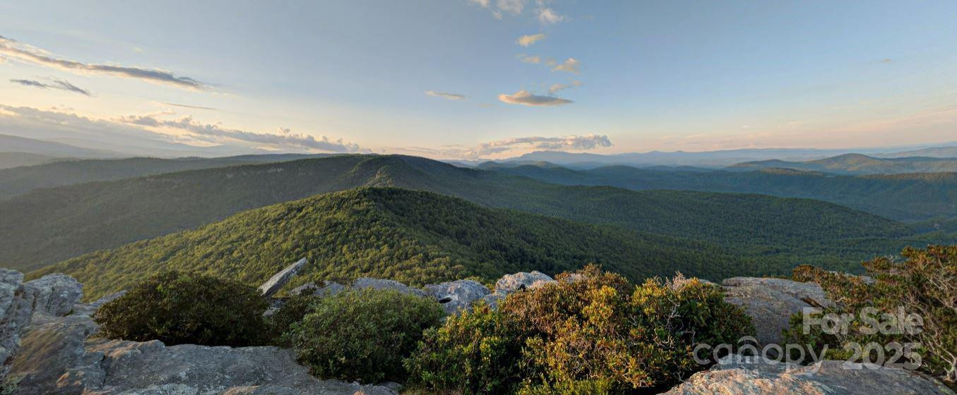 2252 Magnolia Place #3 - Photo 26