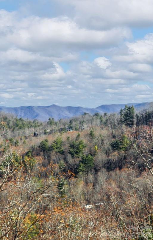 130 Summit Tower Circle #LOTS 213 & 214 - Photo 4