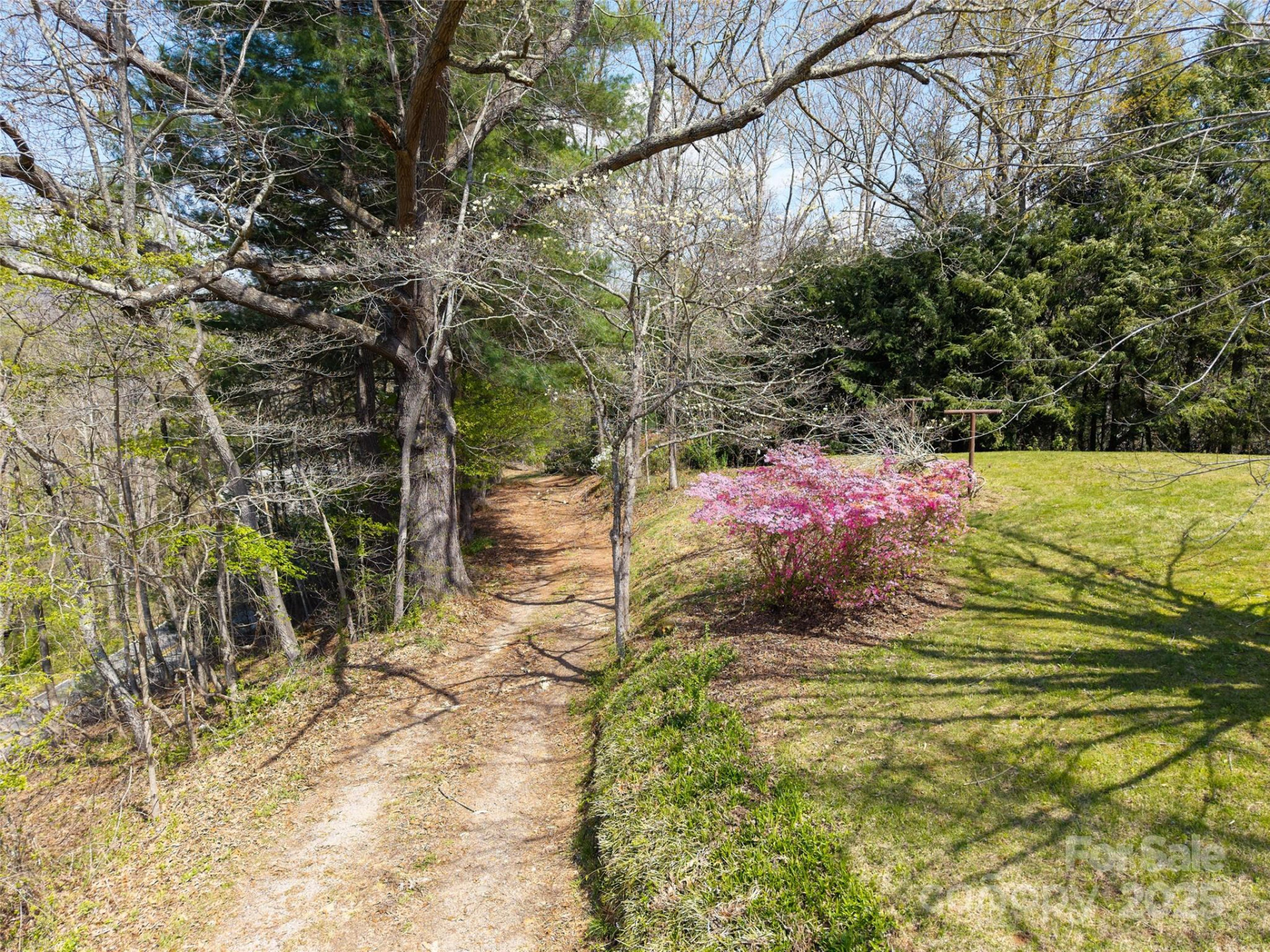 435 Upper Glady Fork Road - Photo 41