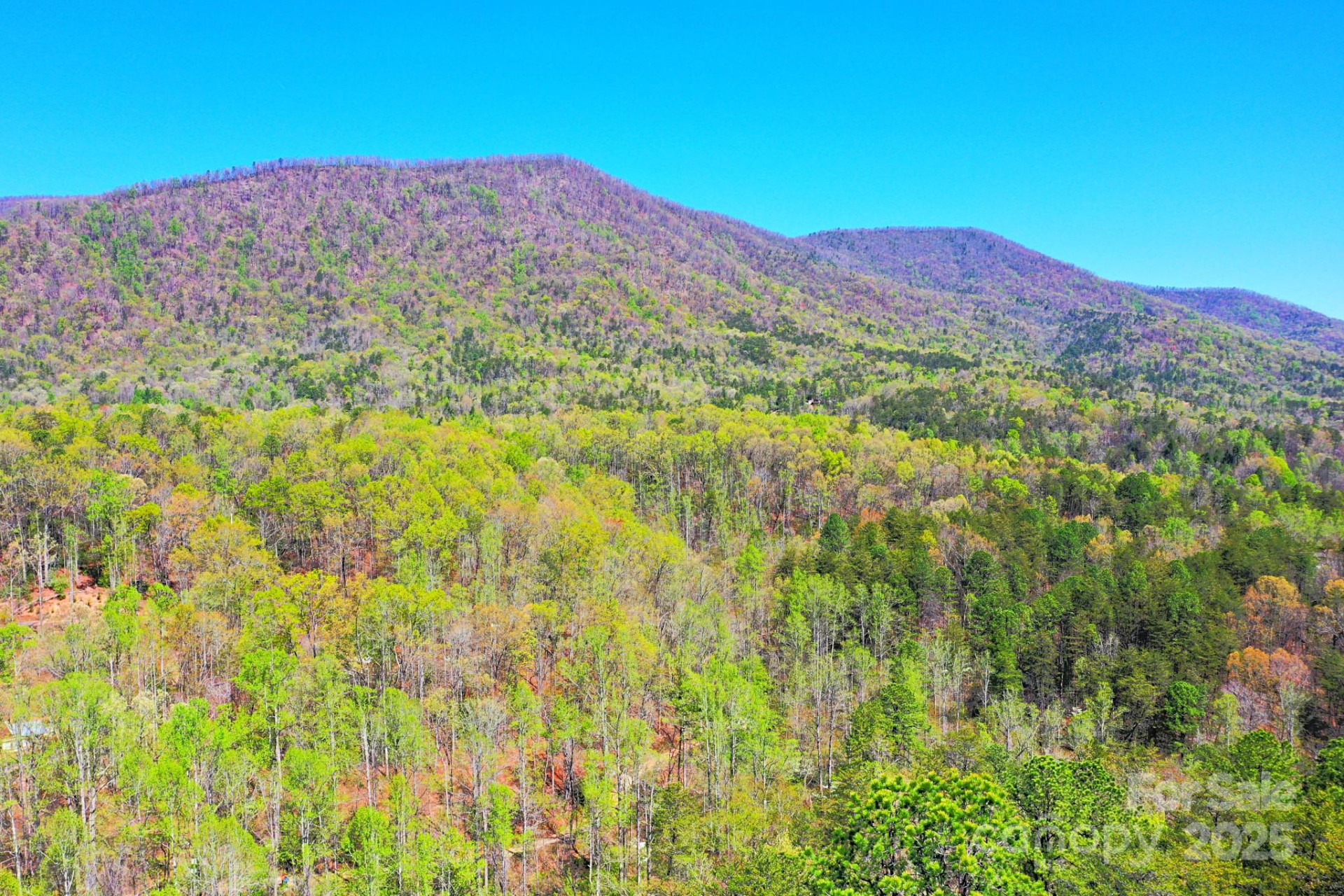 0 Mackey Creek Road
