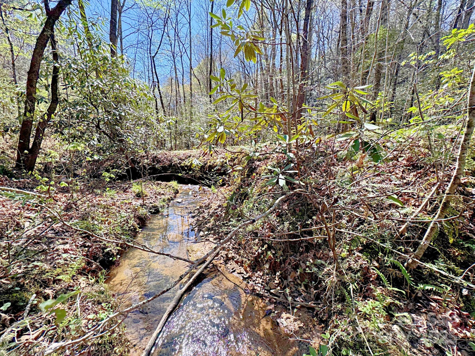 0 Mackey Creek Road - Photo 2