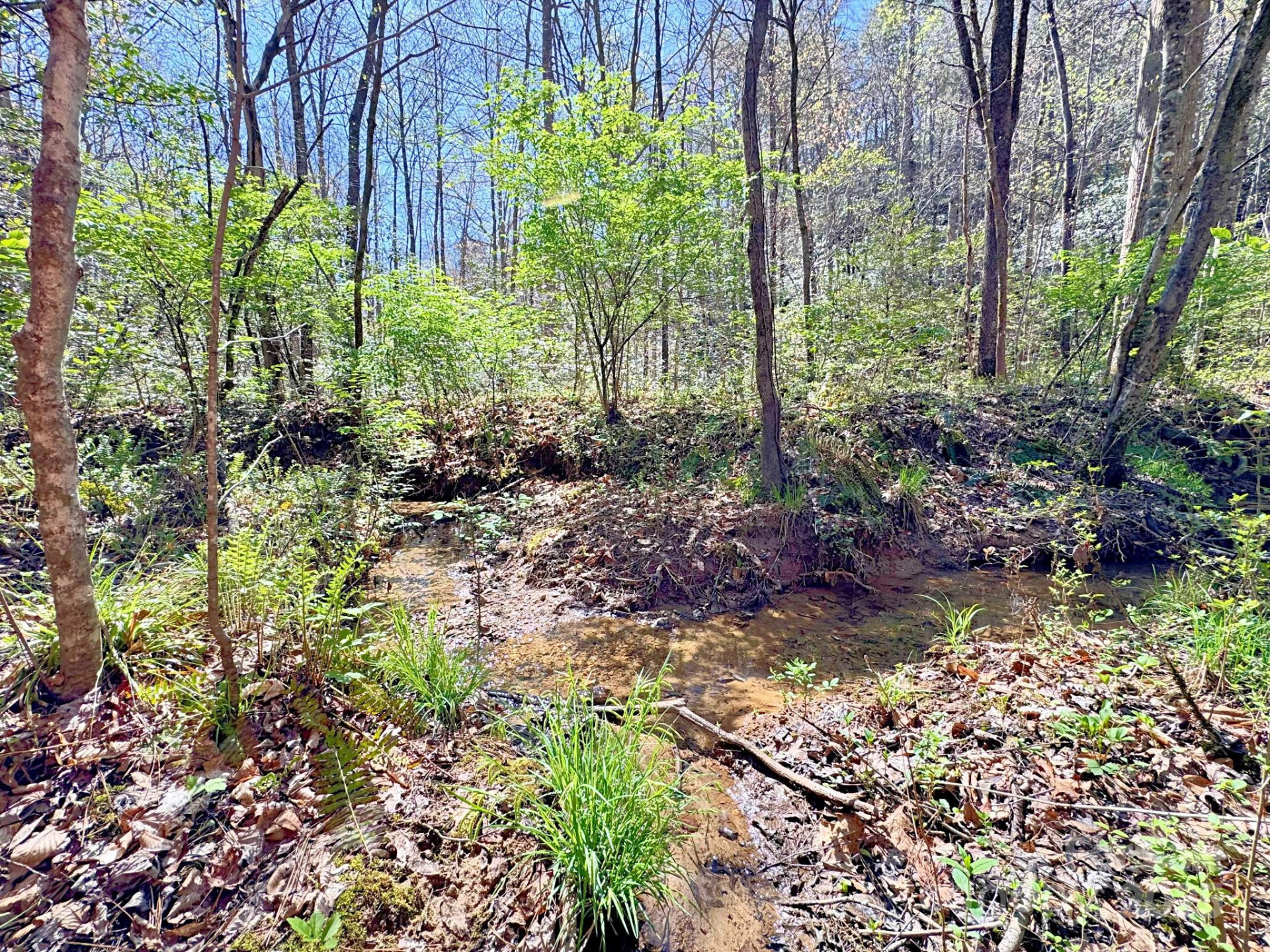 0 Mackey Creek Road - Photo 12