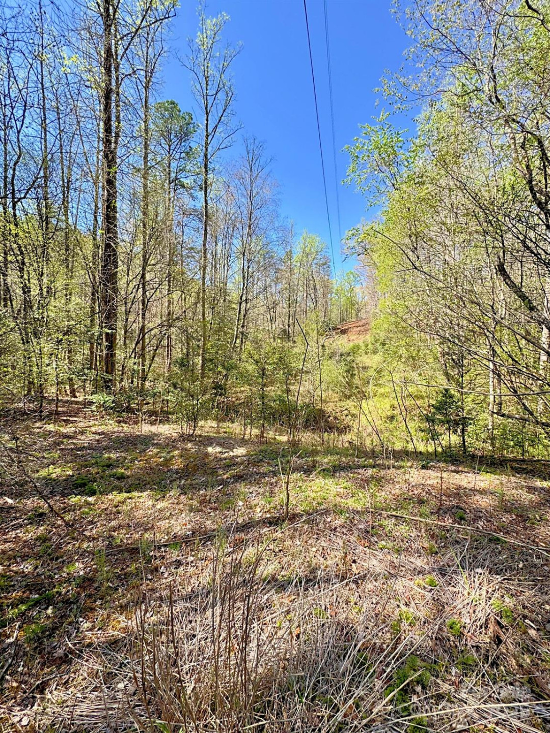 0 Mackey Creek Road - Photo 13