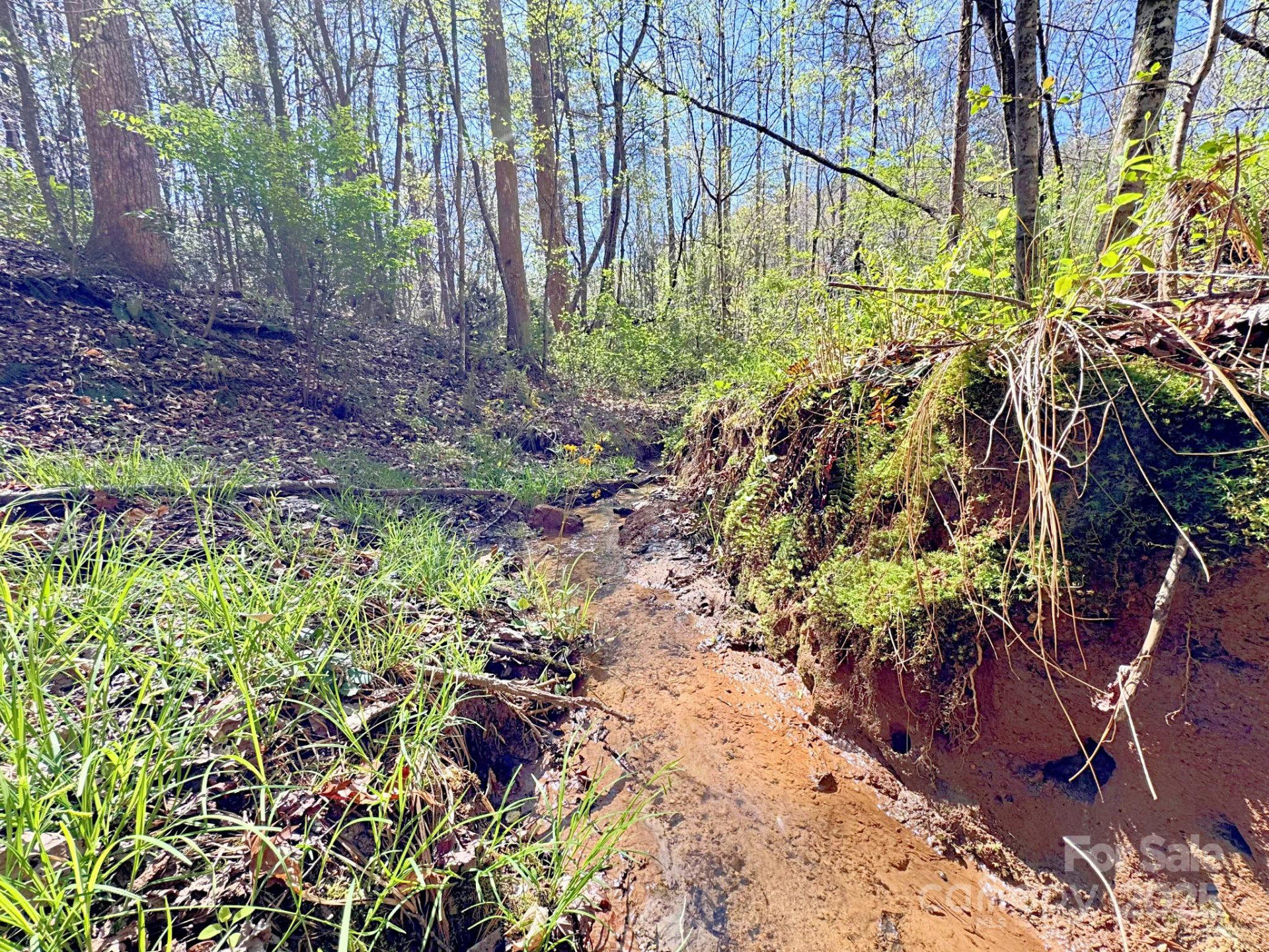 0 Mackey Creek Road - Photo 14