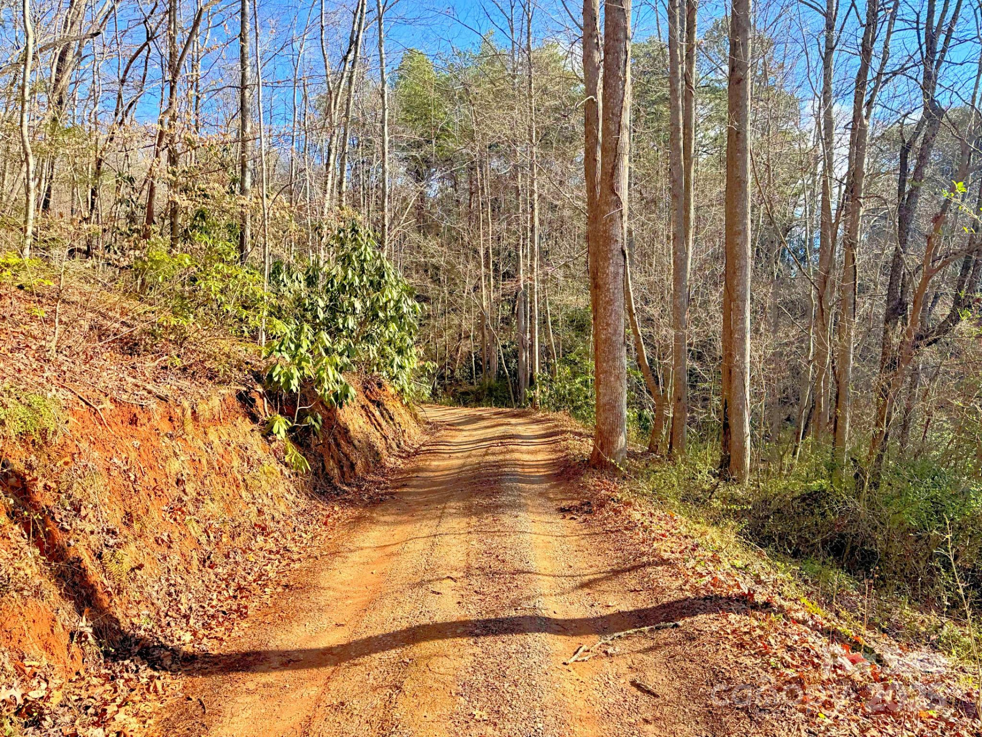 0 Mackey Creek Road - Photo 15