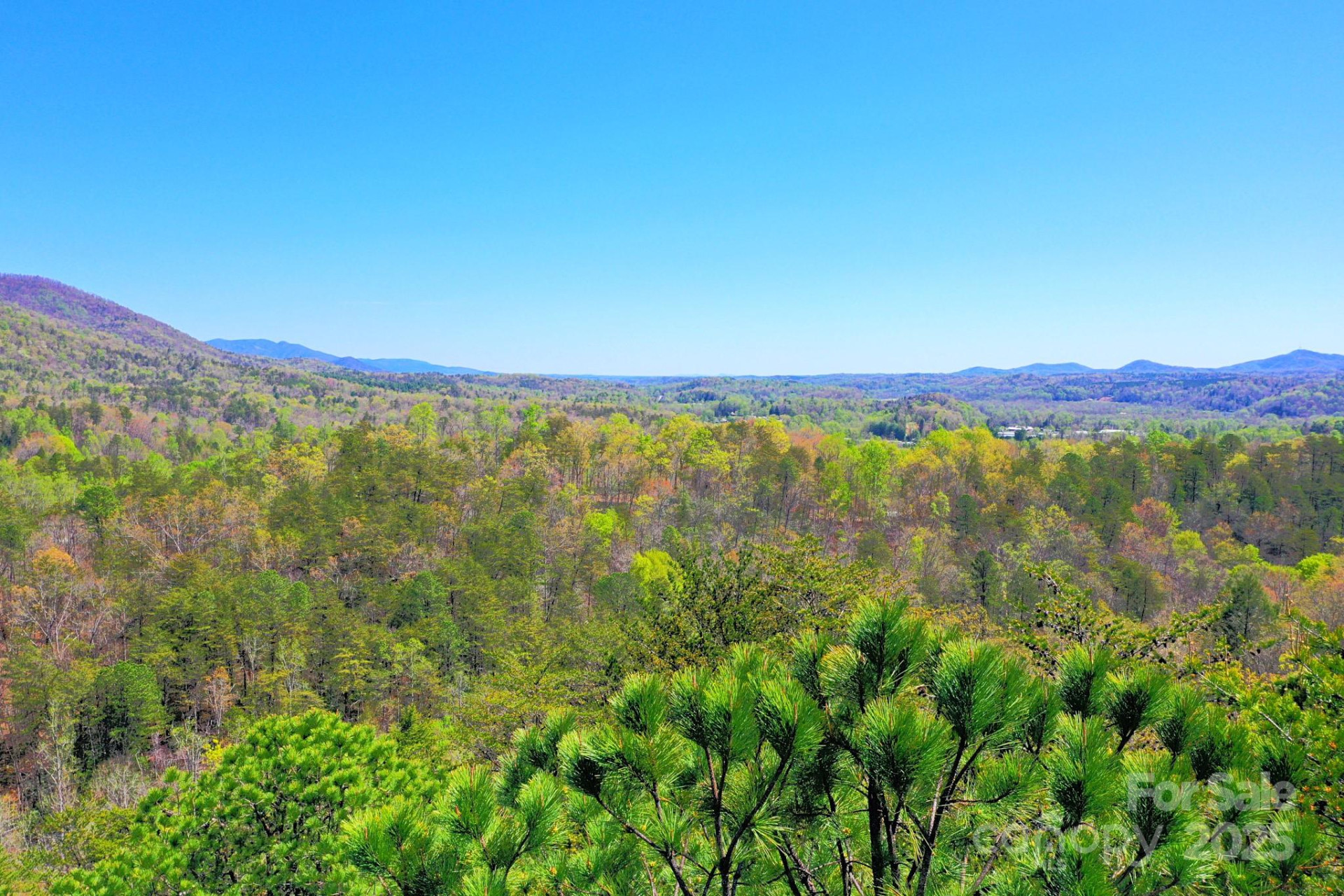 0 Mackey Creek Road - Photo 16