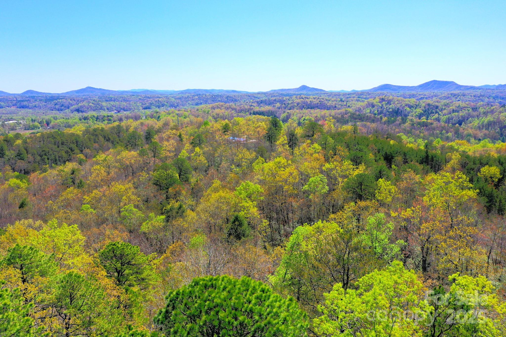 0 Mackey Creek Road - Photo 5