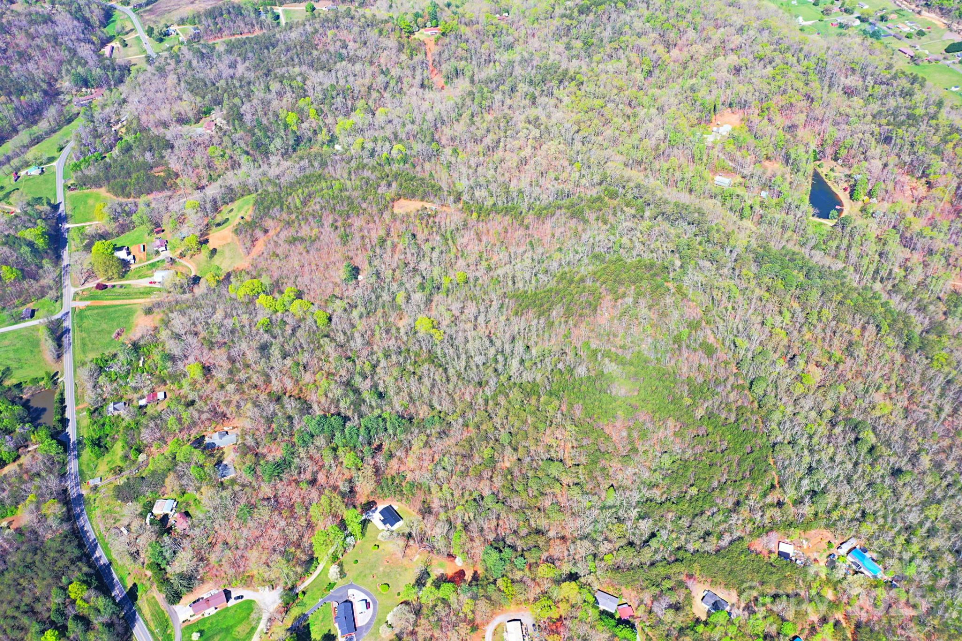 0 Mackey Creek Road - Photo 6