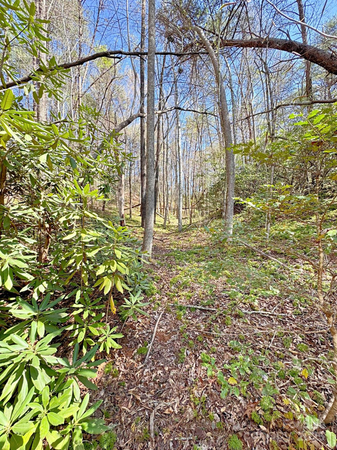 0 Mackey Creek Road - Photo 8