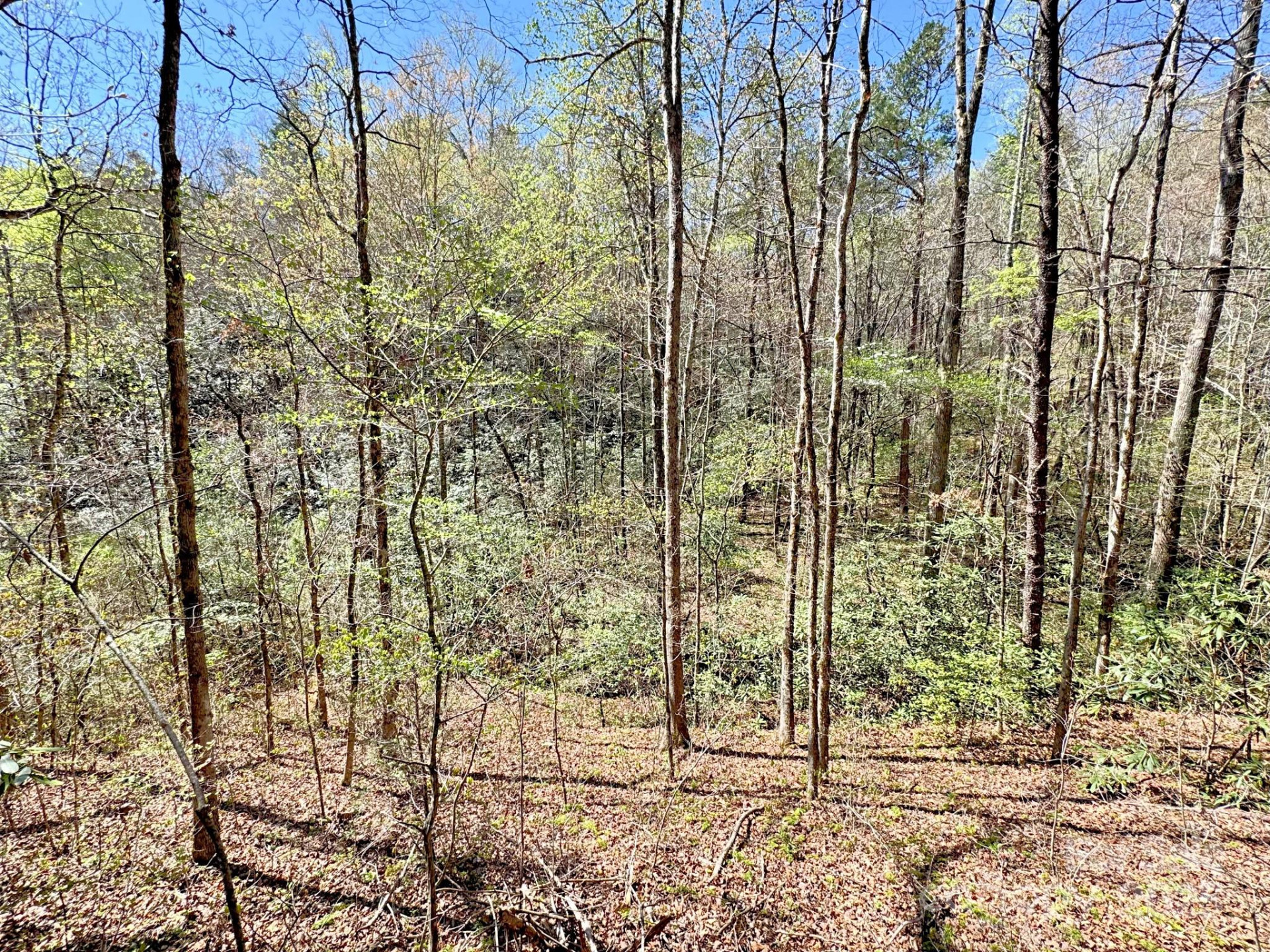 0 Mackey Creek Road - Photo 9