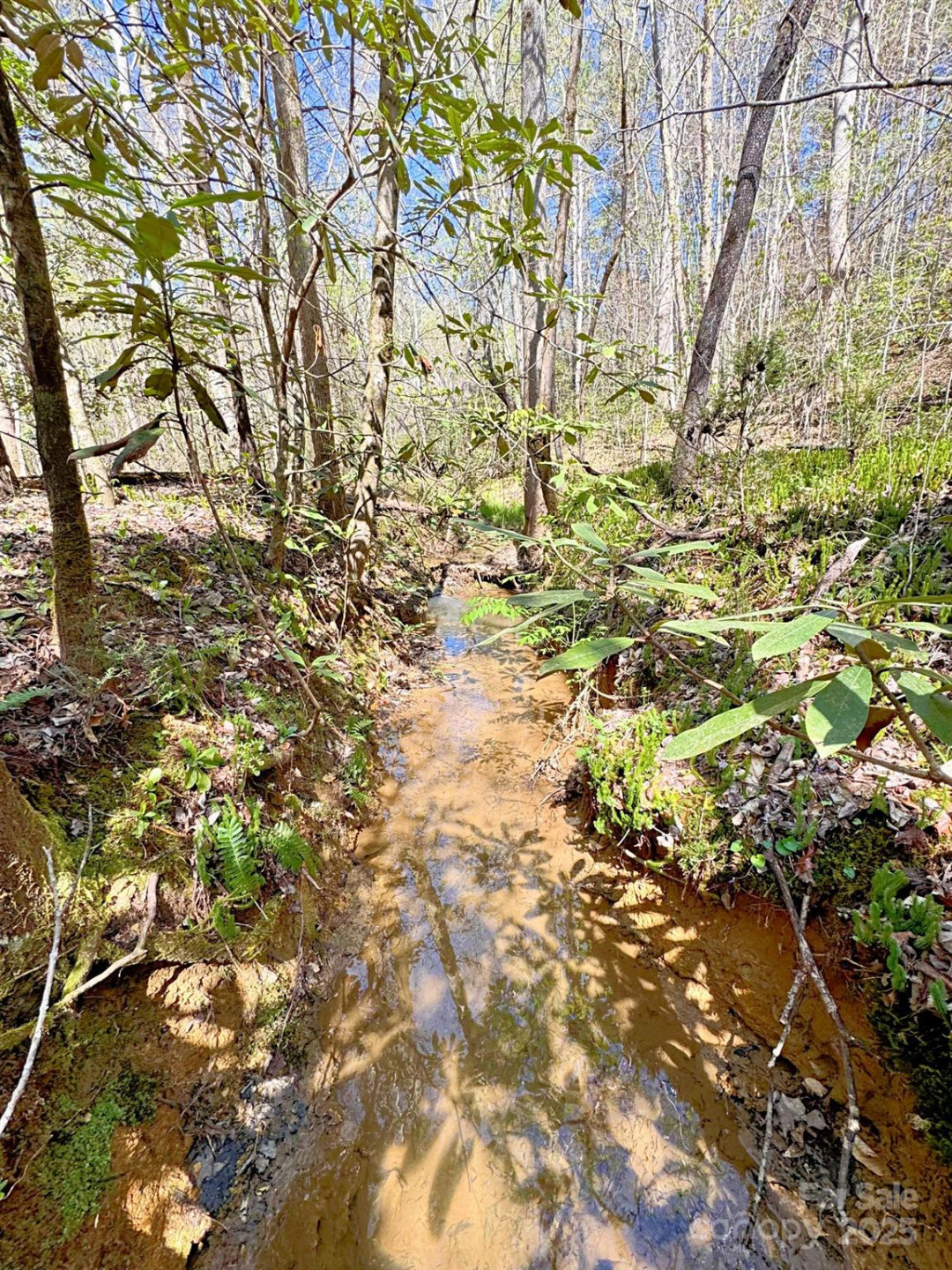0 Mackey Creek Road - Photo 10