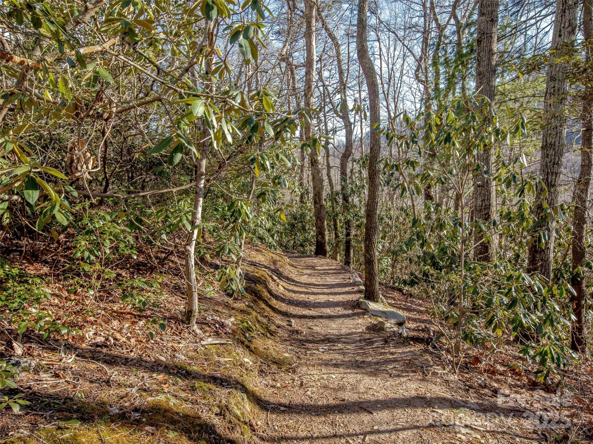 36 Slide Rock Way - Photo 13