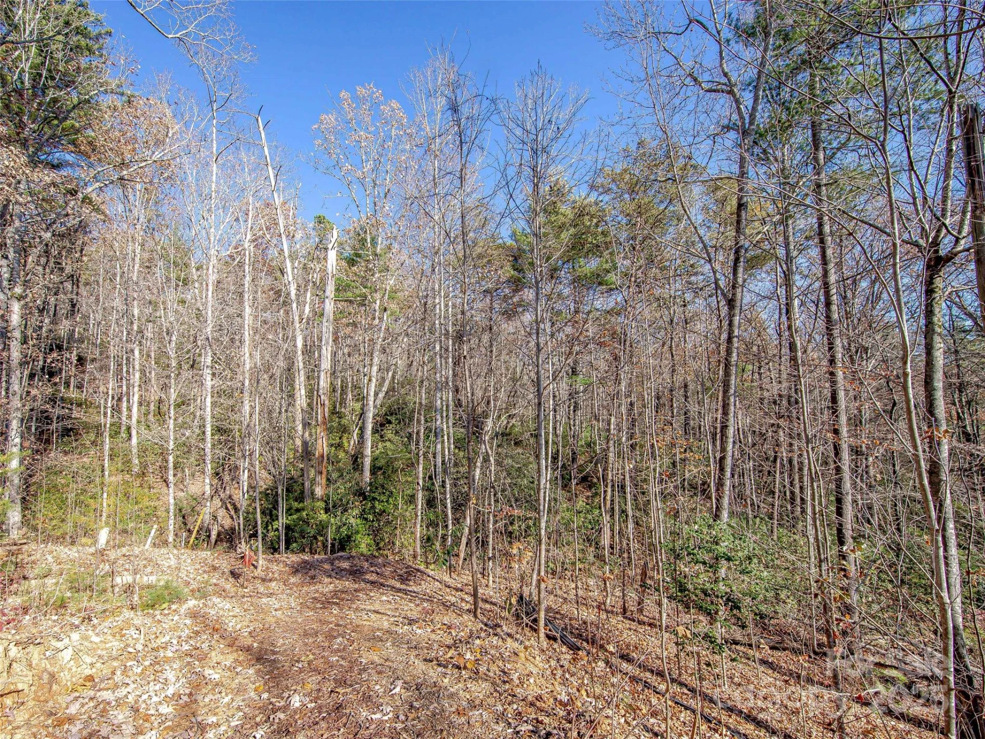 36 Slide Rock Way - Photo 3