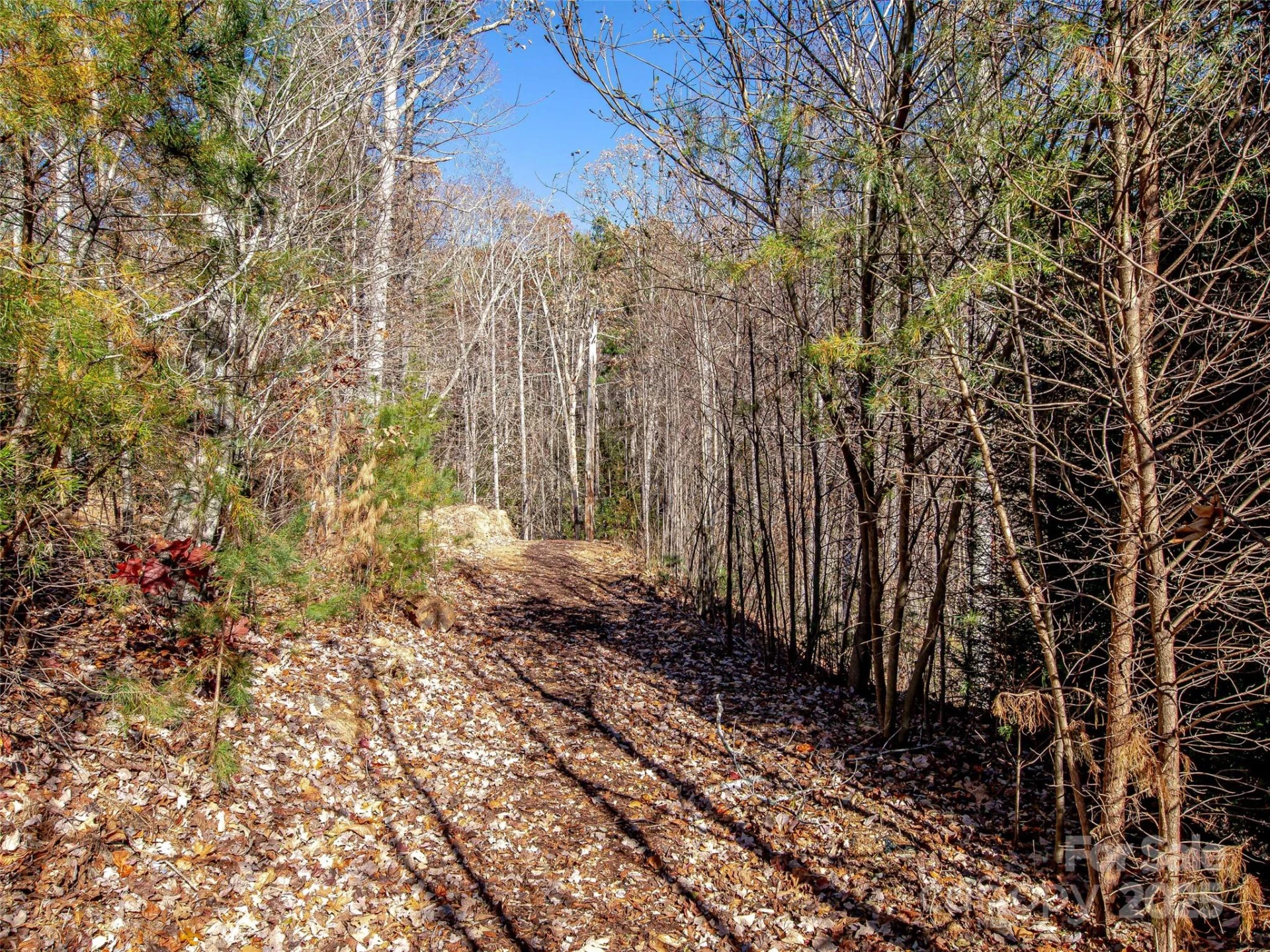 36 Slide Rock Way - Photo 6
