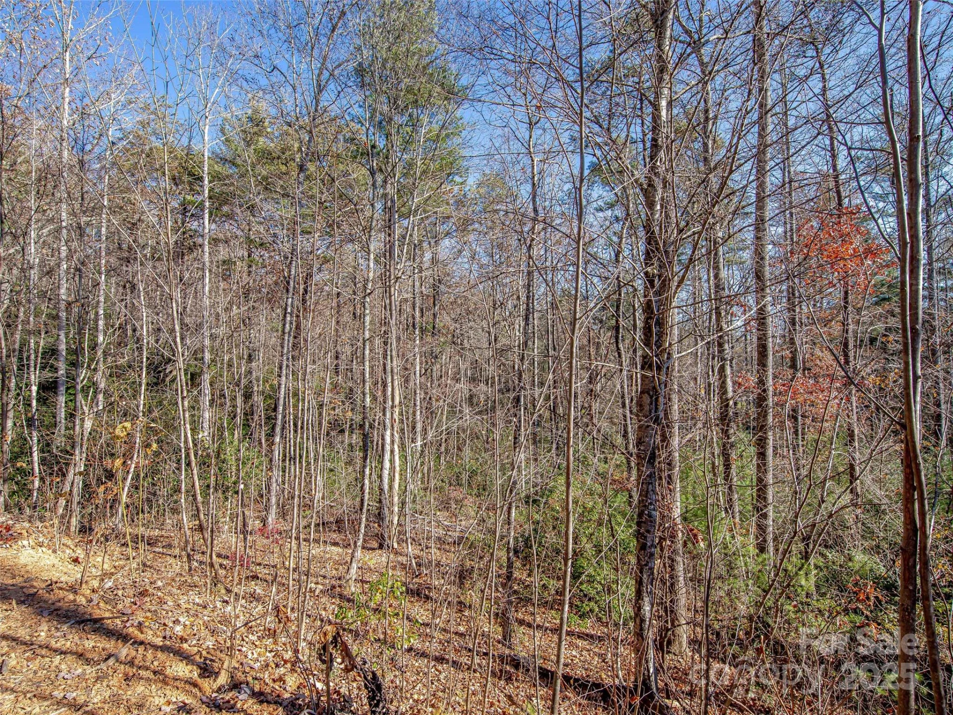 36 Slide Rock Way - Photo 8