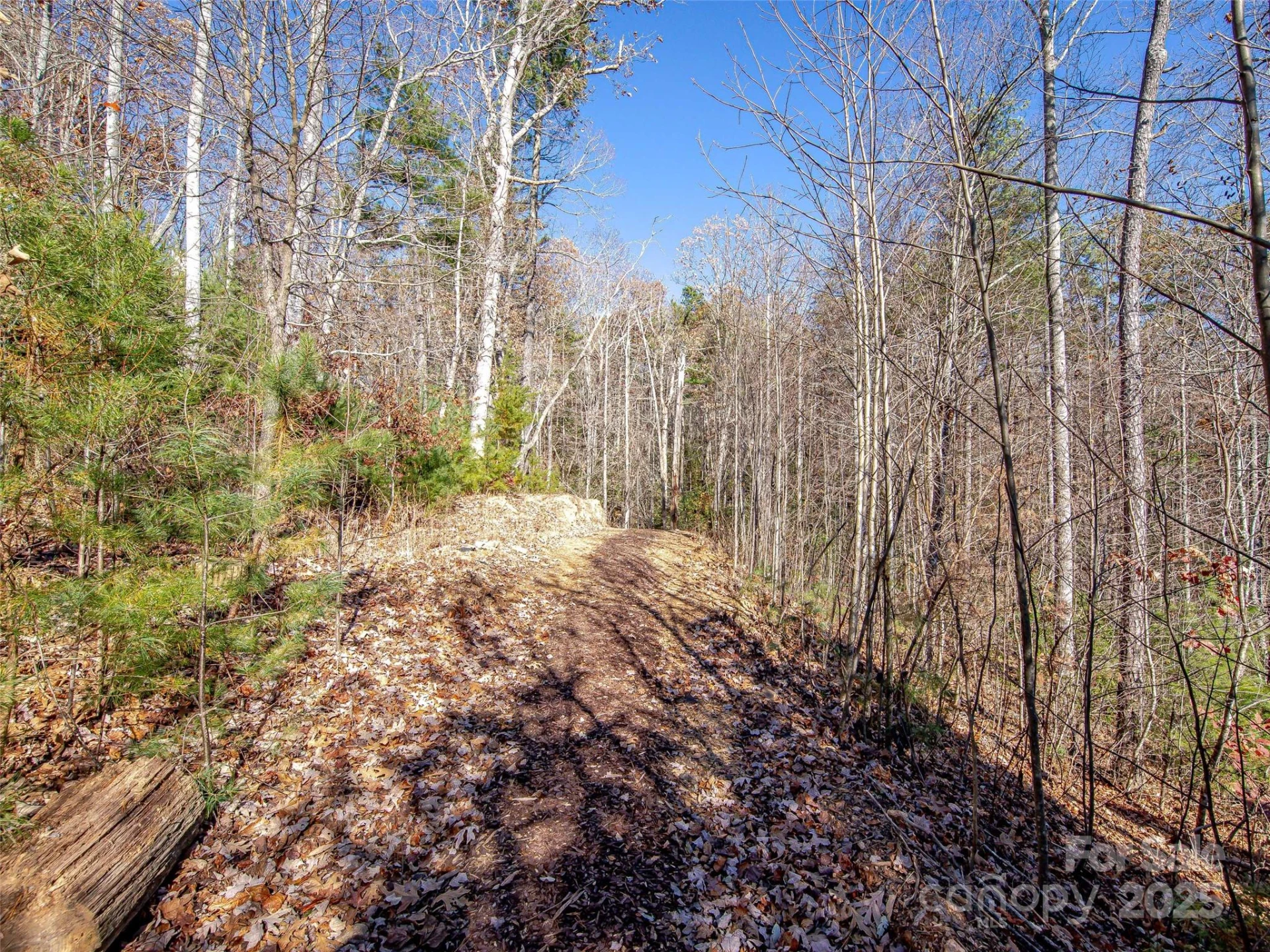 36 Slide Rock Way - Photo 10