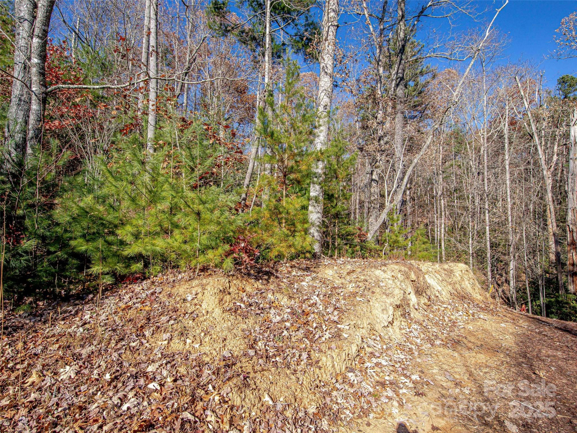 36 Slide Rock Way - Photo 9