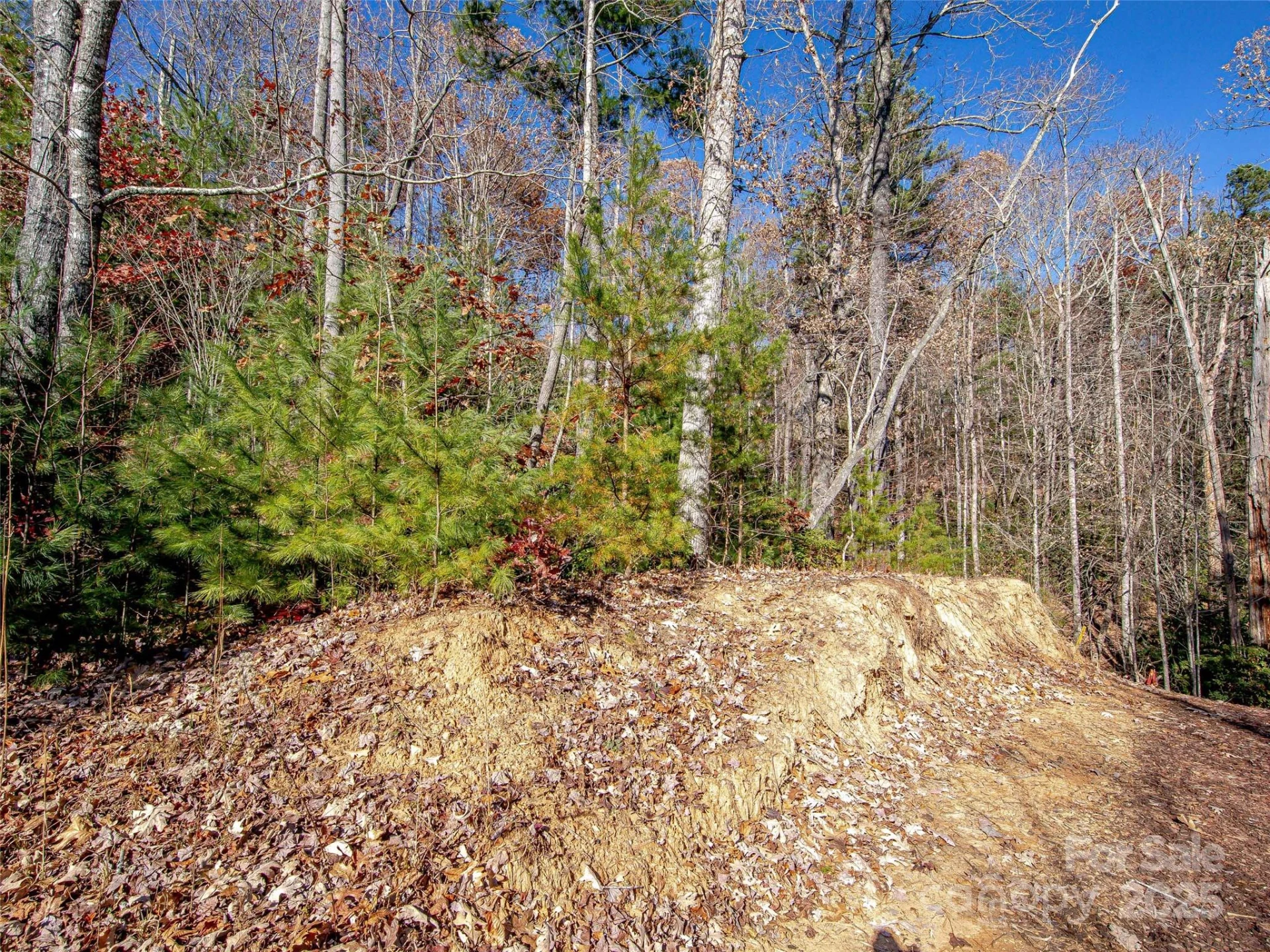 36 Slide Rock Way - Photo 9