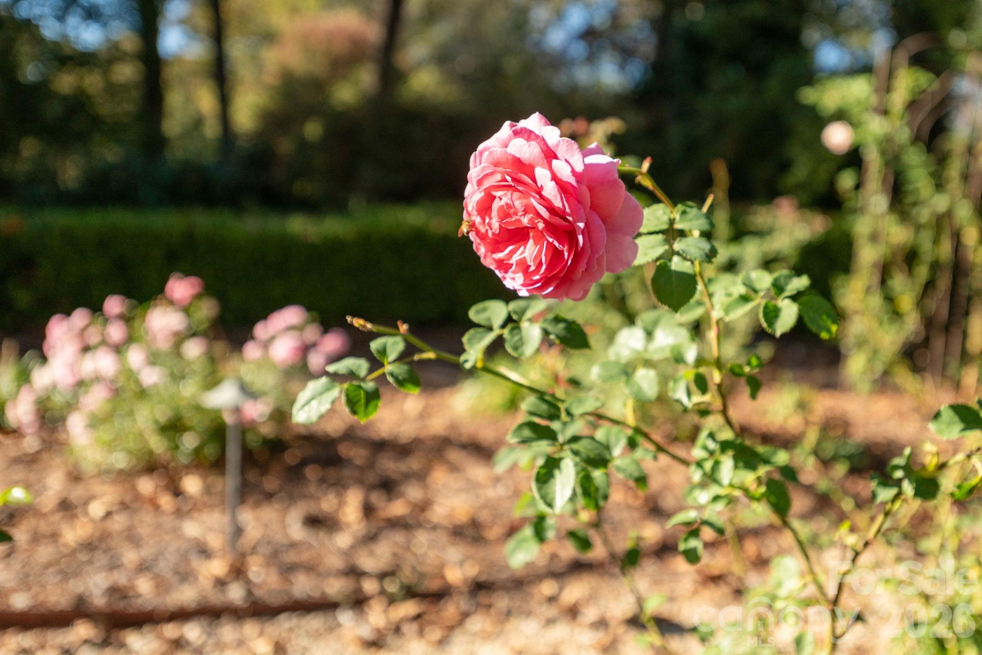 8 Fairway Place - Photo 47