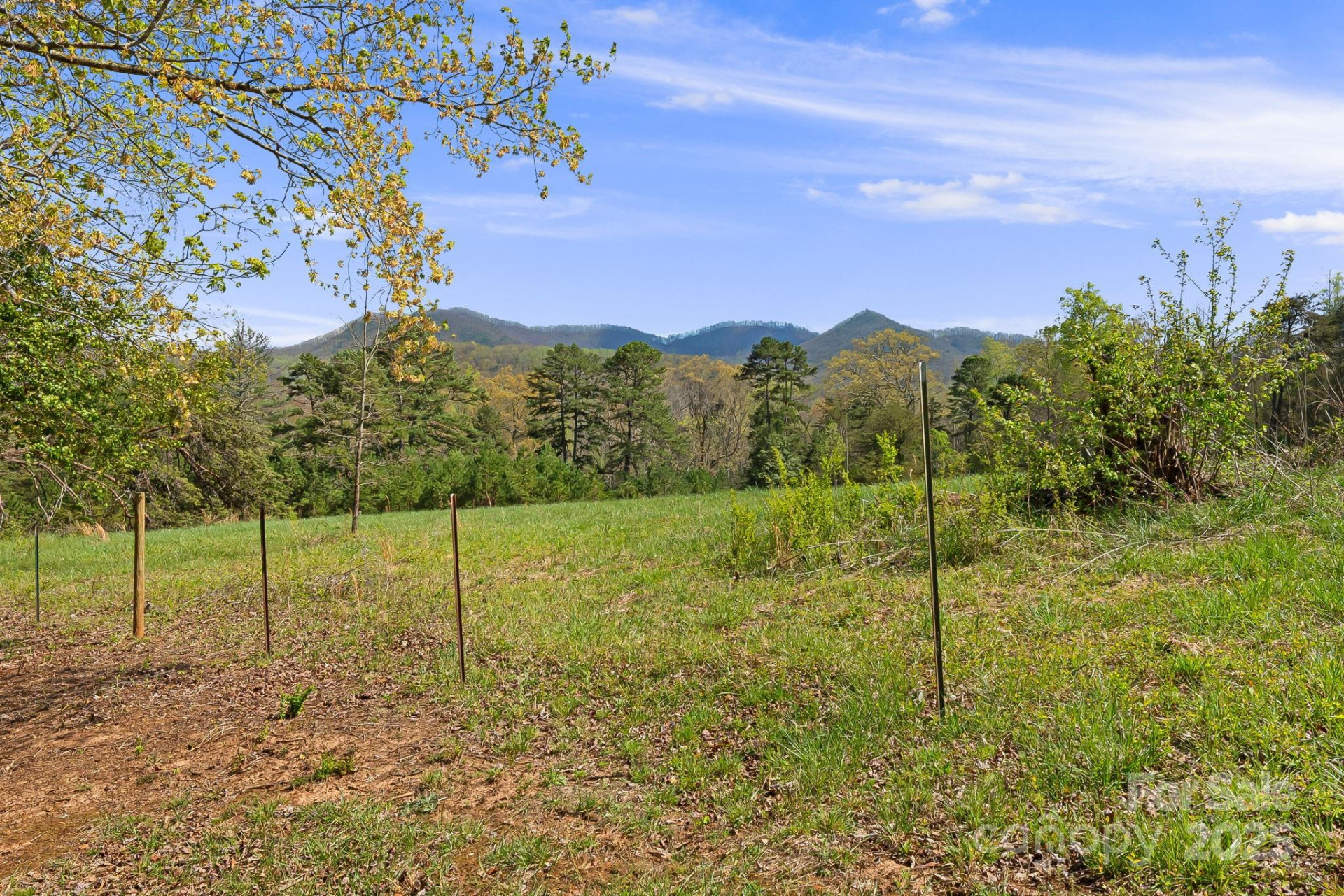 54 Golddigger Drive - Photo 9